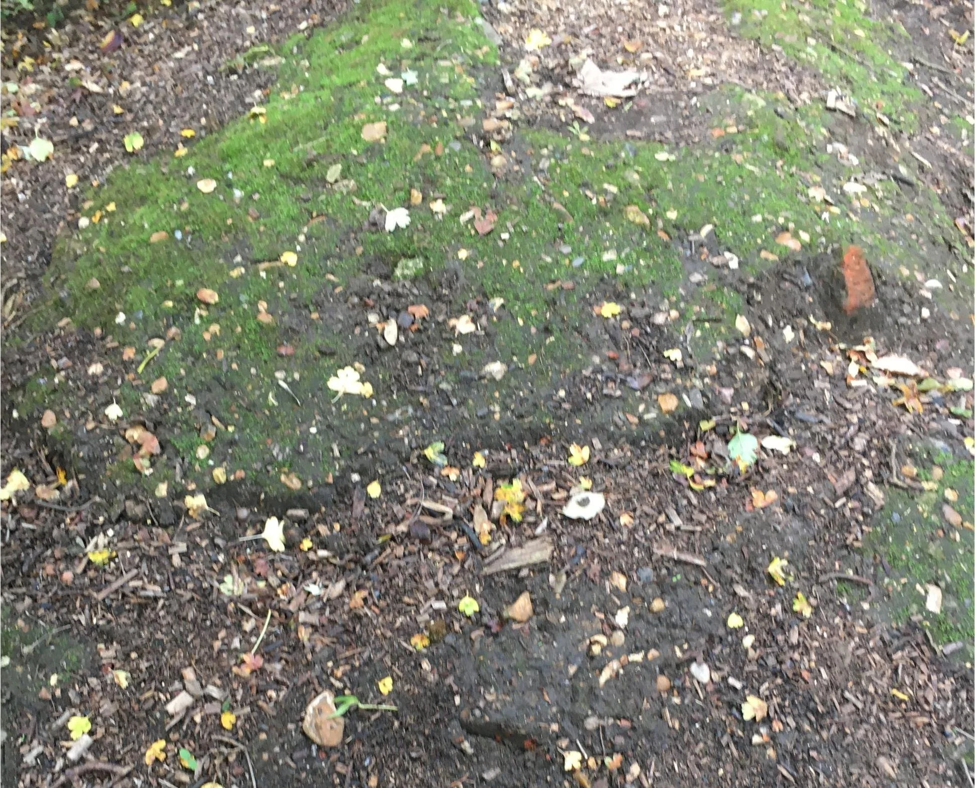 mound-before.JPG