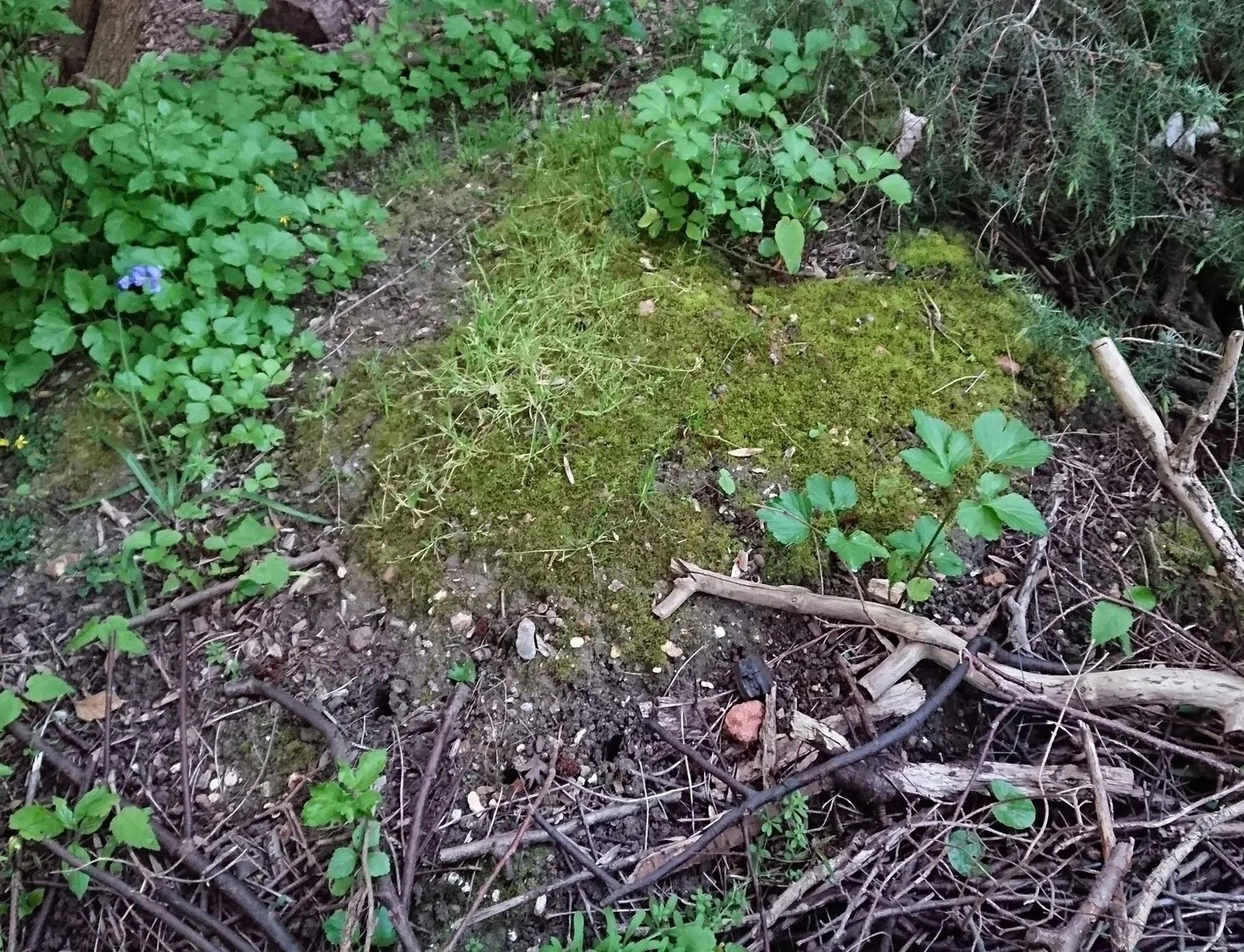 mound-after.JPG