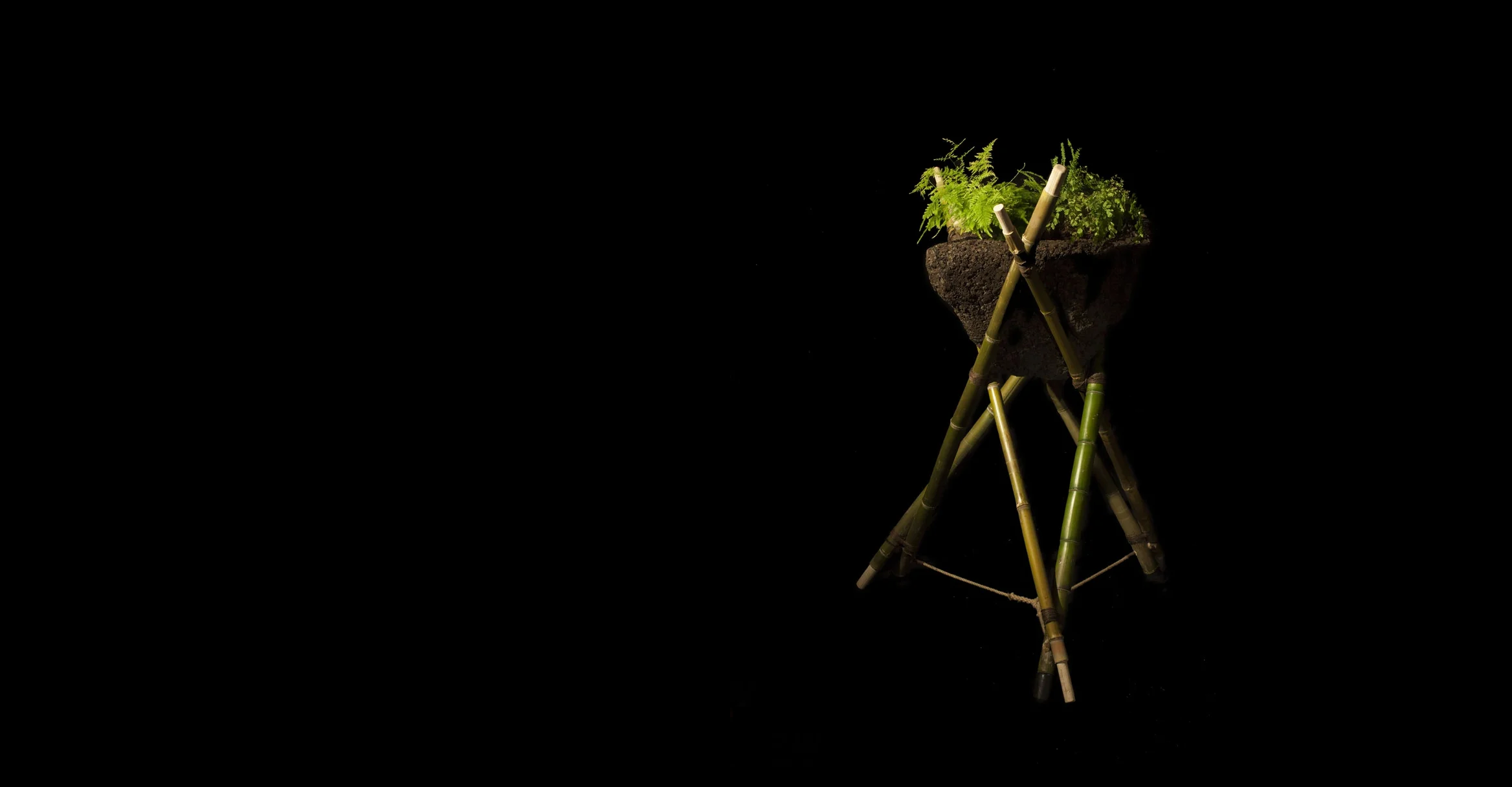 cork planter all.png