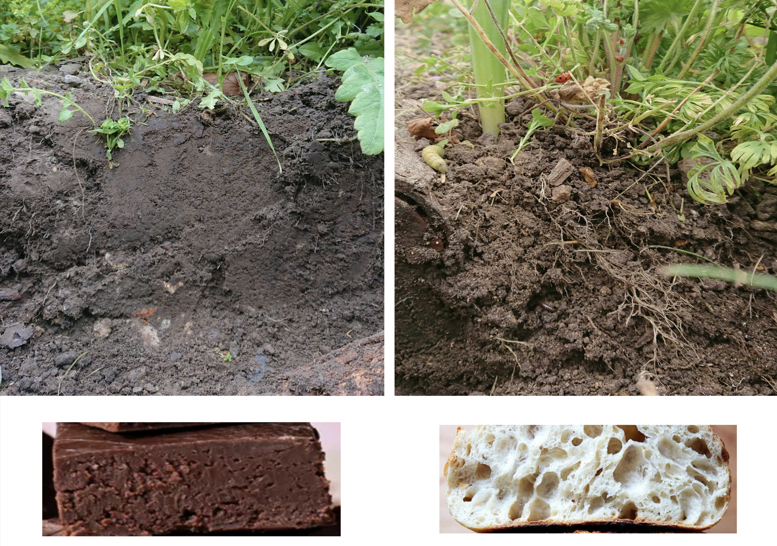 soil before after.png