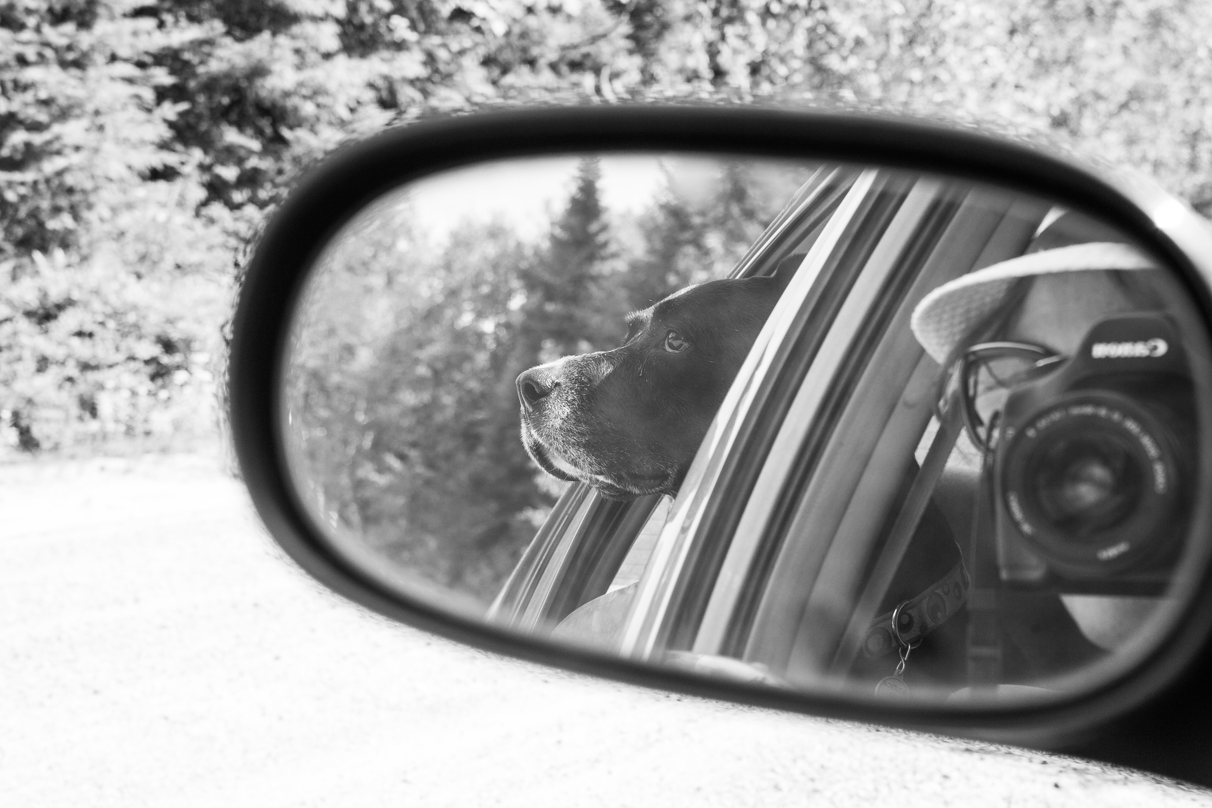 rural road.jpeg
