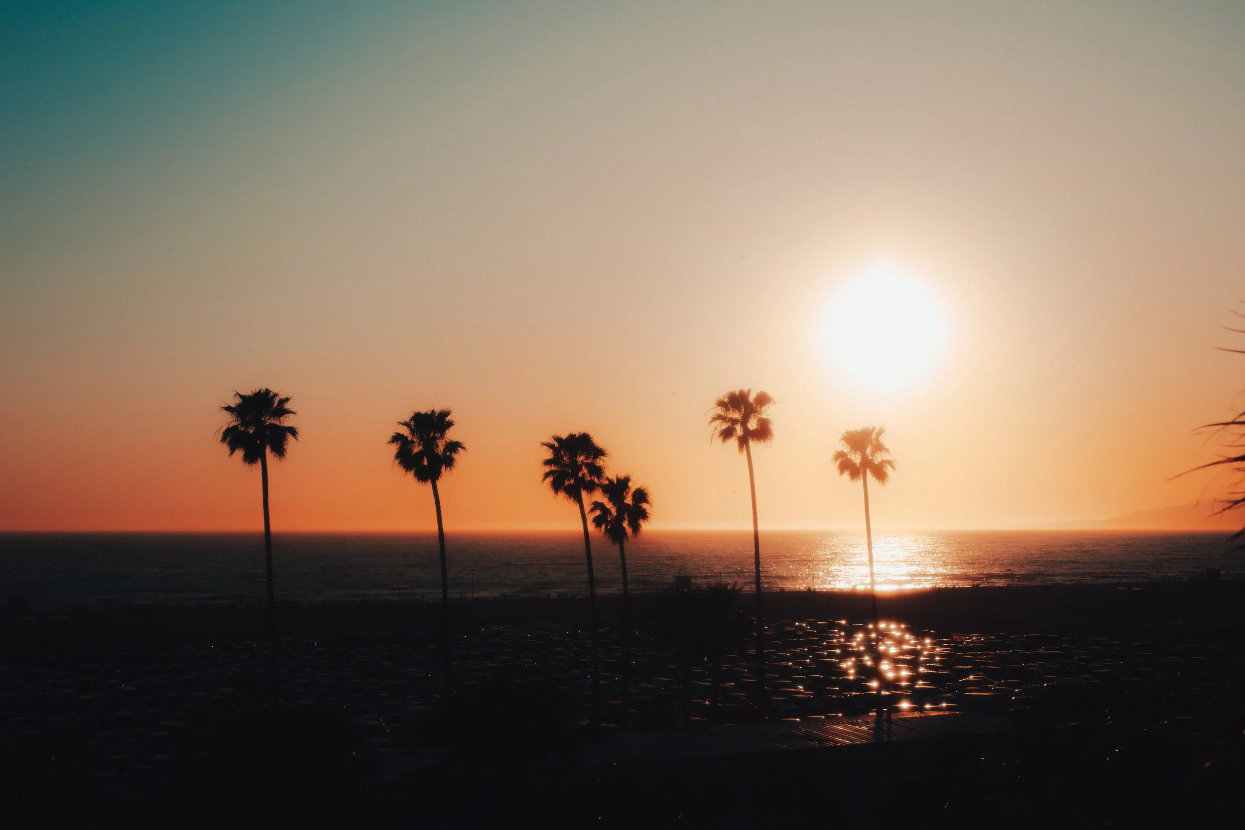 LAX_0023.jpg