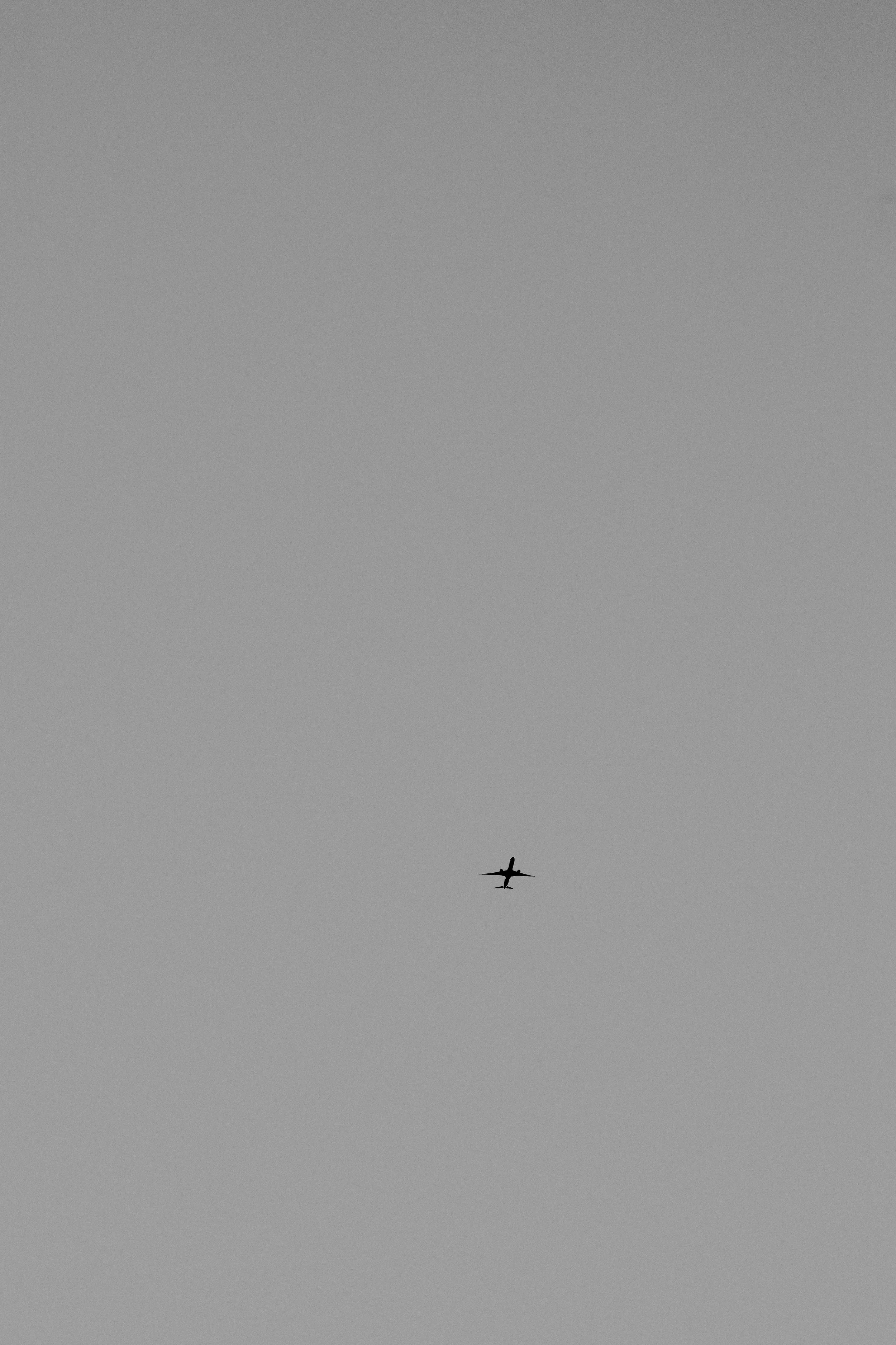 LAX_0095.jpg