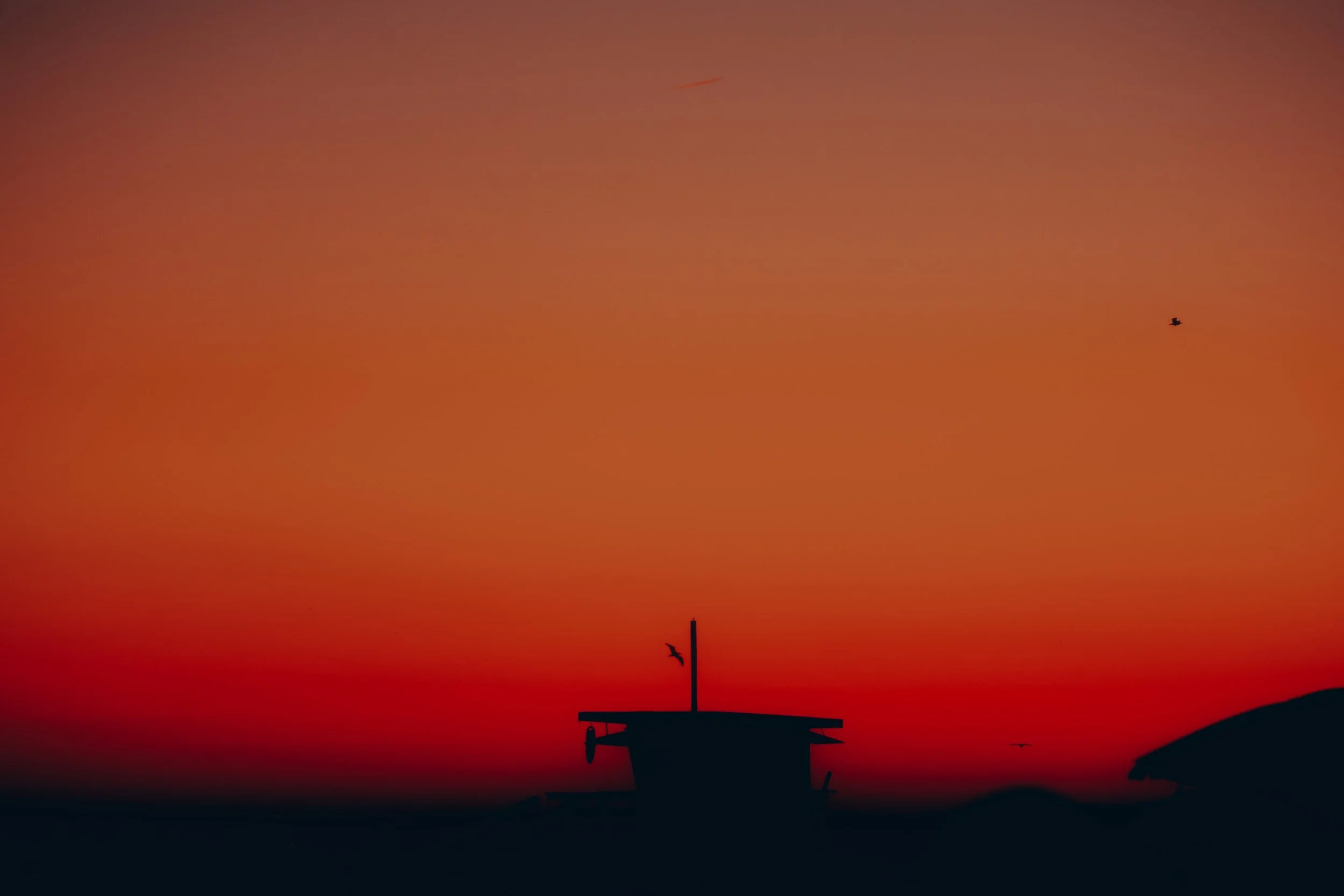 LAX_0146.jpg
