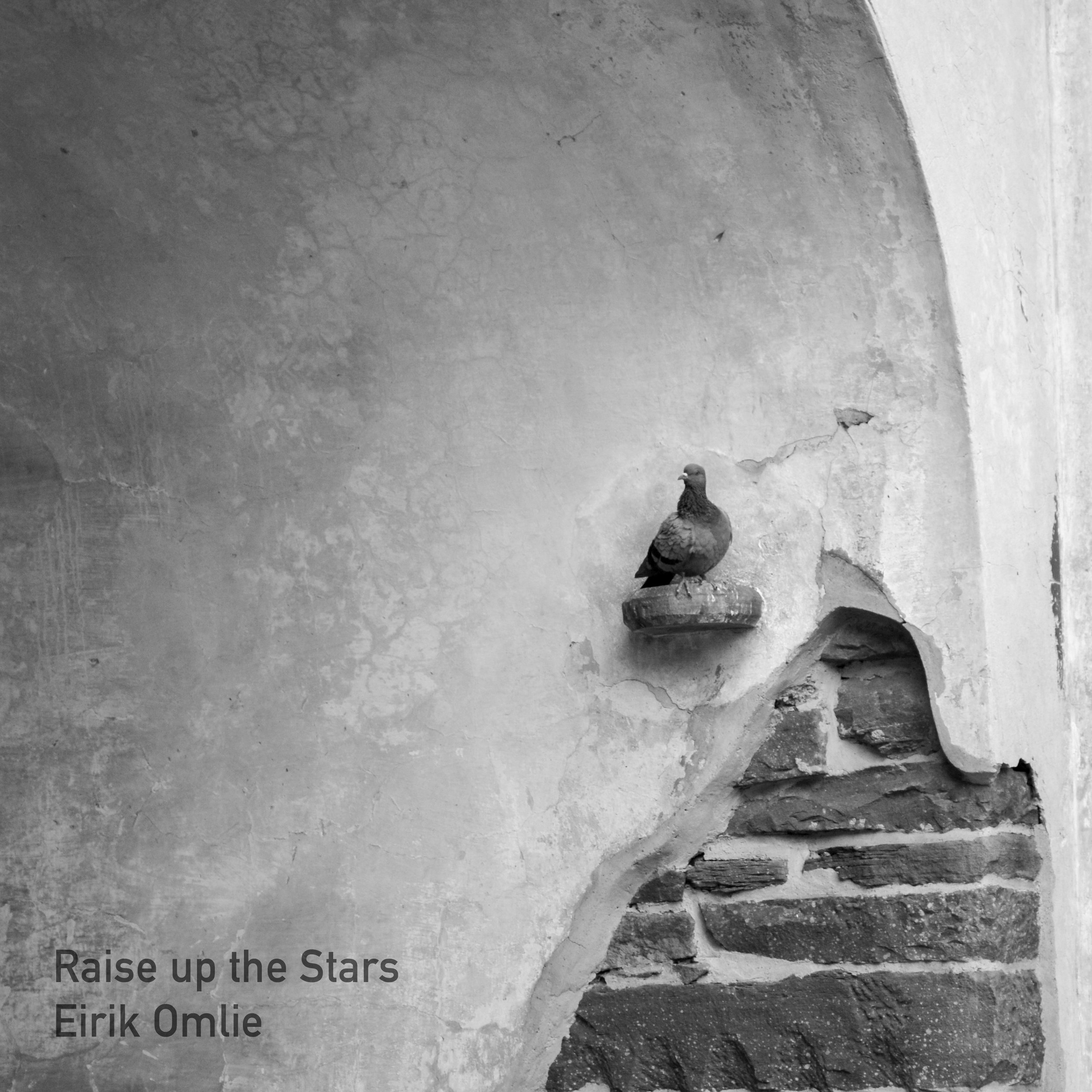 Raise up the Stars Cover Art - Bird.jpg