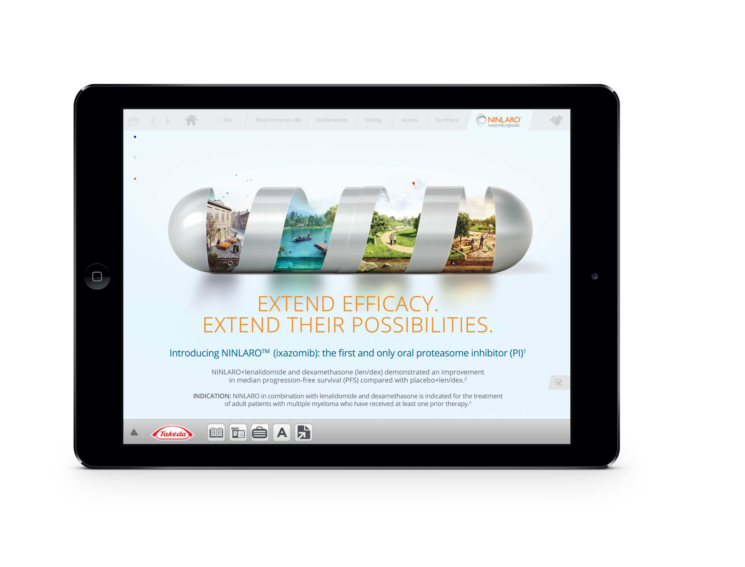 Ninlaro_ipad_mockup.jpg