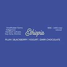 ethiopia 2025 house line square label.jpg