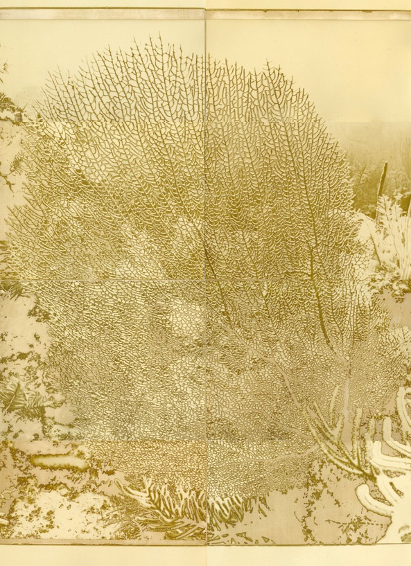 Final mordancage panel assembled digitally
