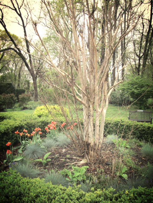 Grounds of Nassau County Museum of Art