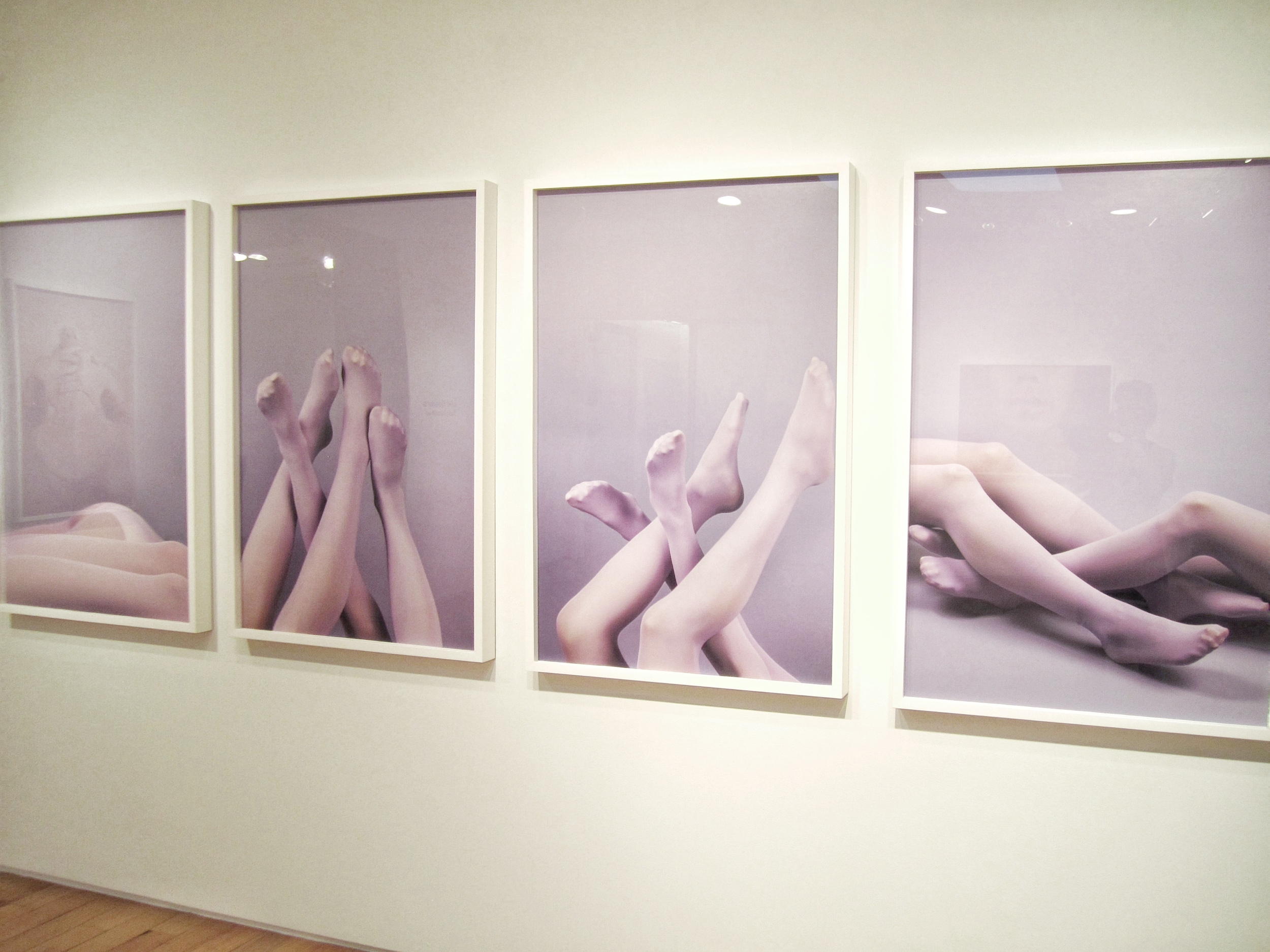 Lucia Fainzilber, work from Wild Flowers, photography