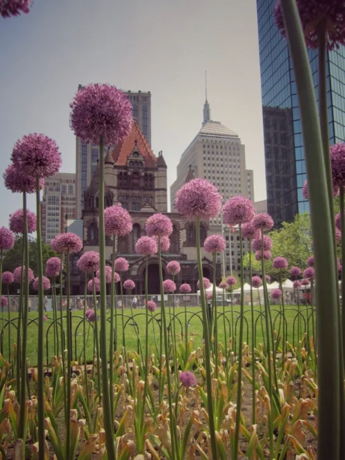 Copley Square and Trinity Church