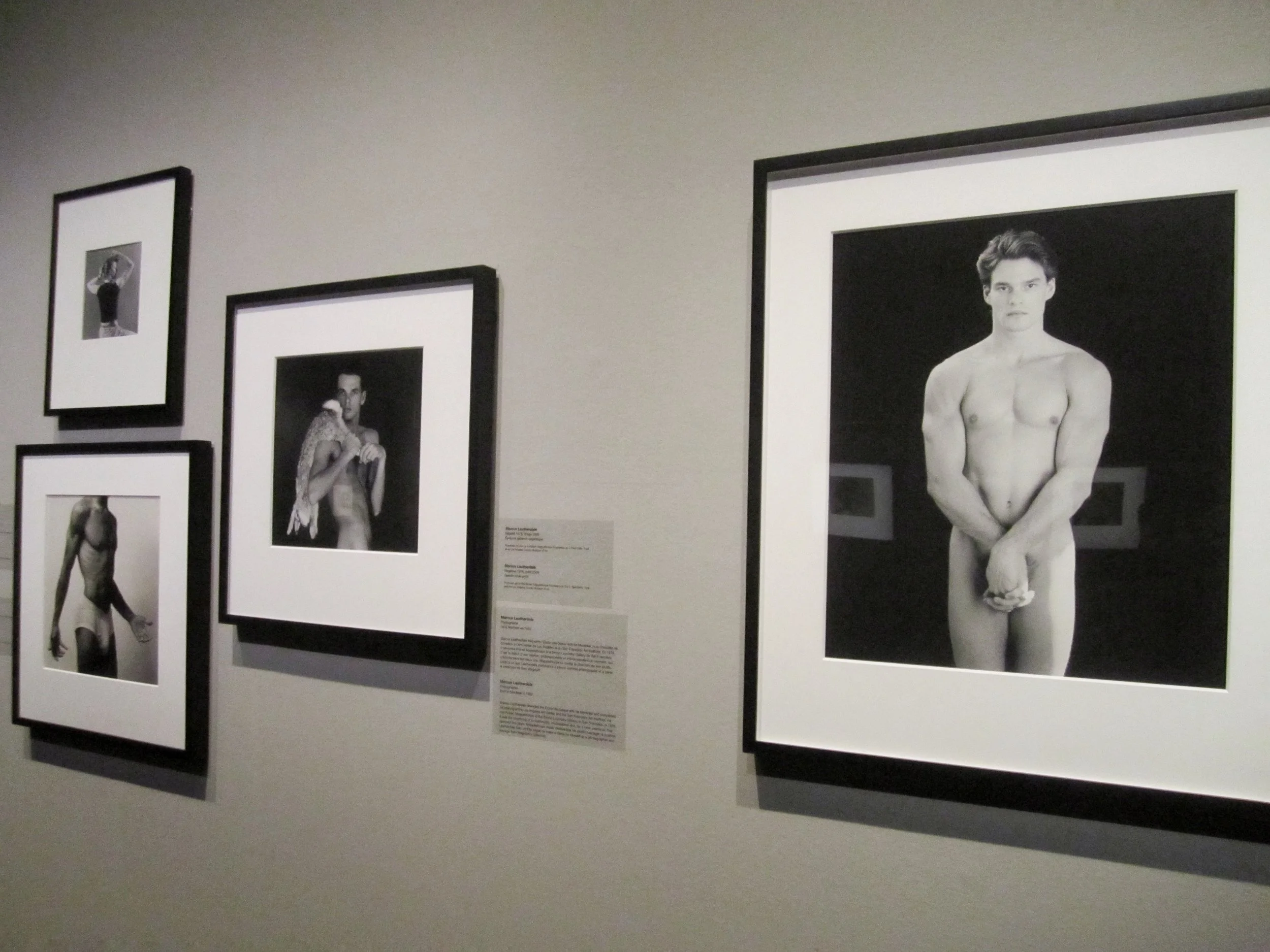 A selection of works from Robert Mapplethorpe's X Portfolios, 1978.