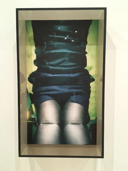 B. Ingrid Olson (American, born 1987), . UV-printed MDF, PVA size, Plexiglass, screws.