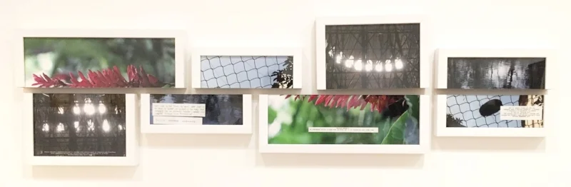 Shilpa Gupta (Indian, born 1976), Untitled, 2014. Pigmented inkjet prints in split frames.