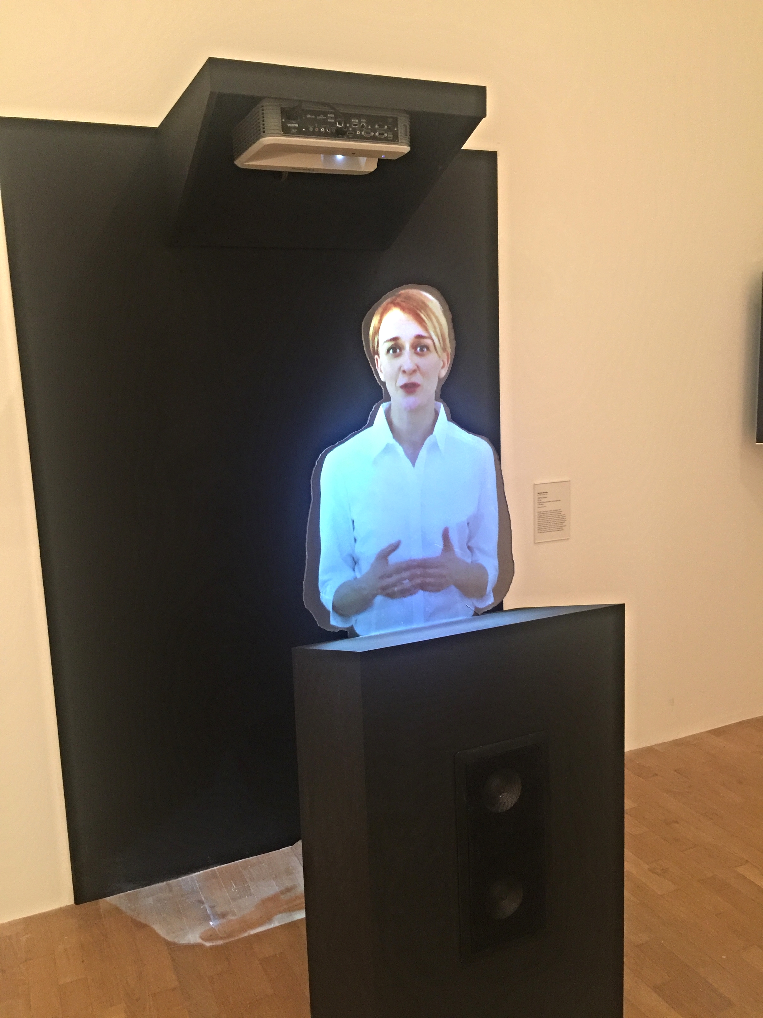 James Bridle, Homo Sacer (2015)