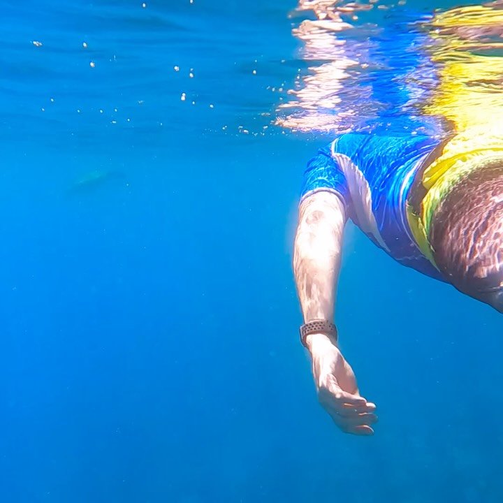 Making new friends 💙🤿🐢✨
.
.
.
#snorkeling #maui #turtletime