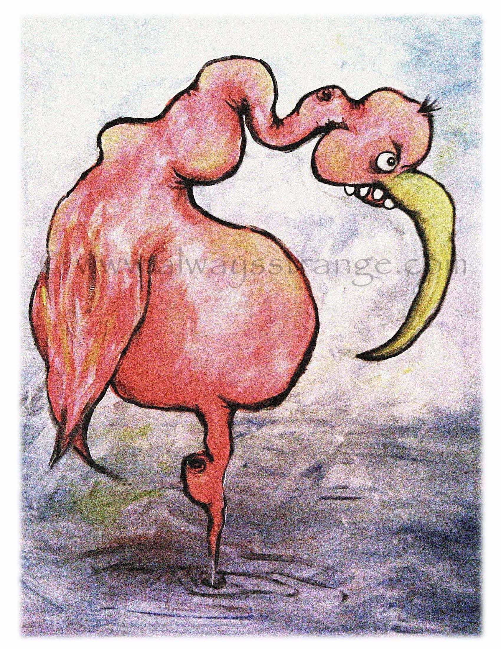 "DODO"