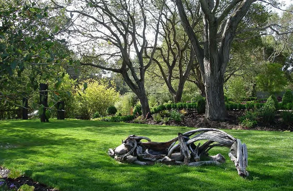 SF+garden+design (1).jpg