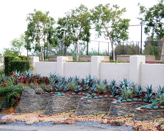 Los+Gatos+Garden+Design_12.jpeg