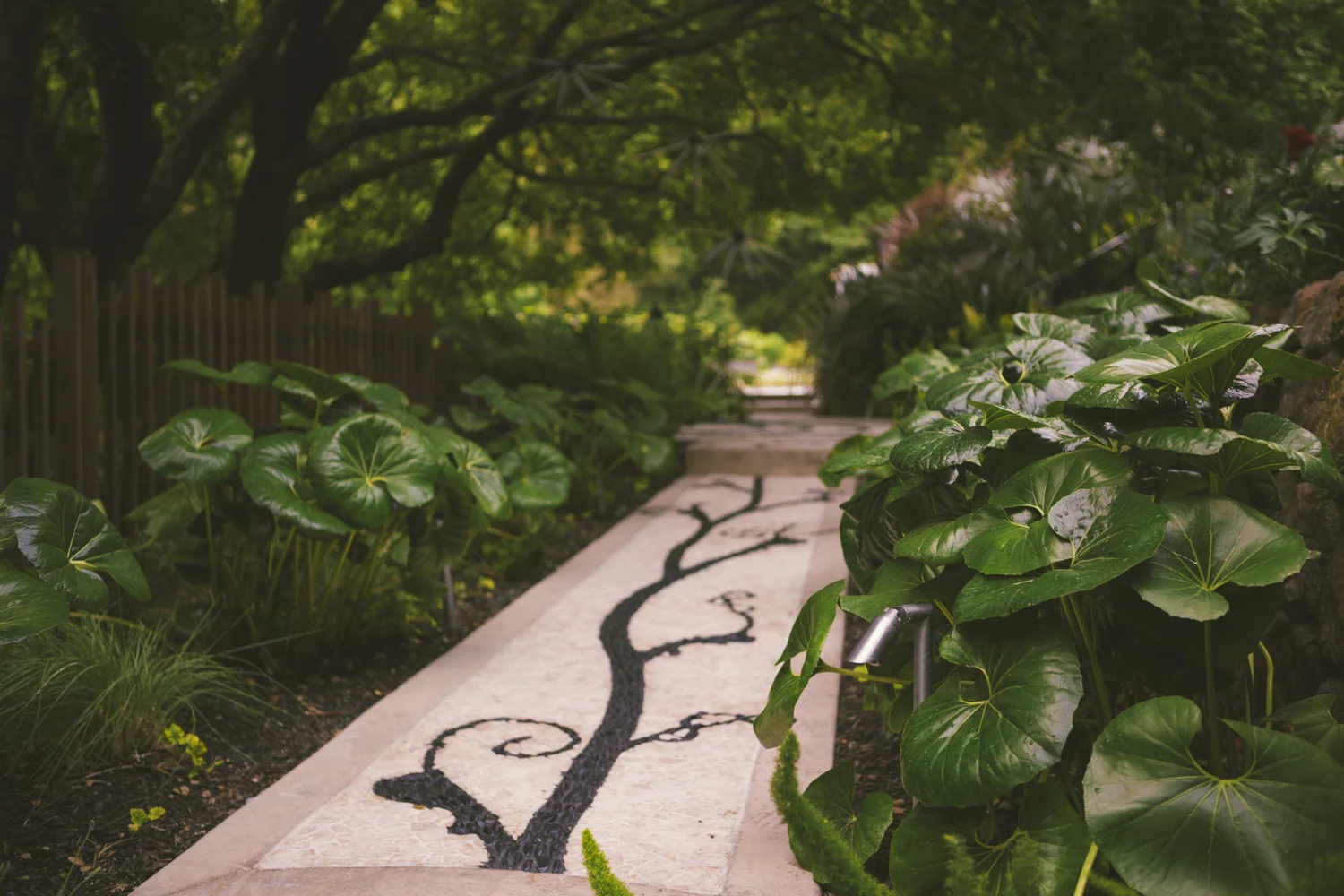 Los+Gatos+Garden+Design_08.jpg