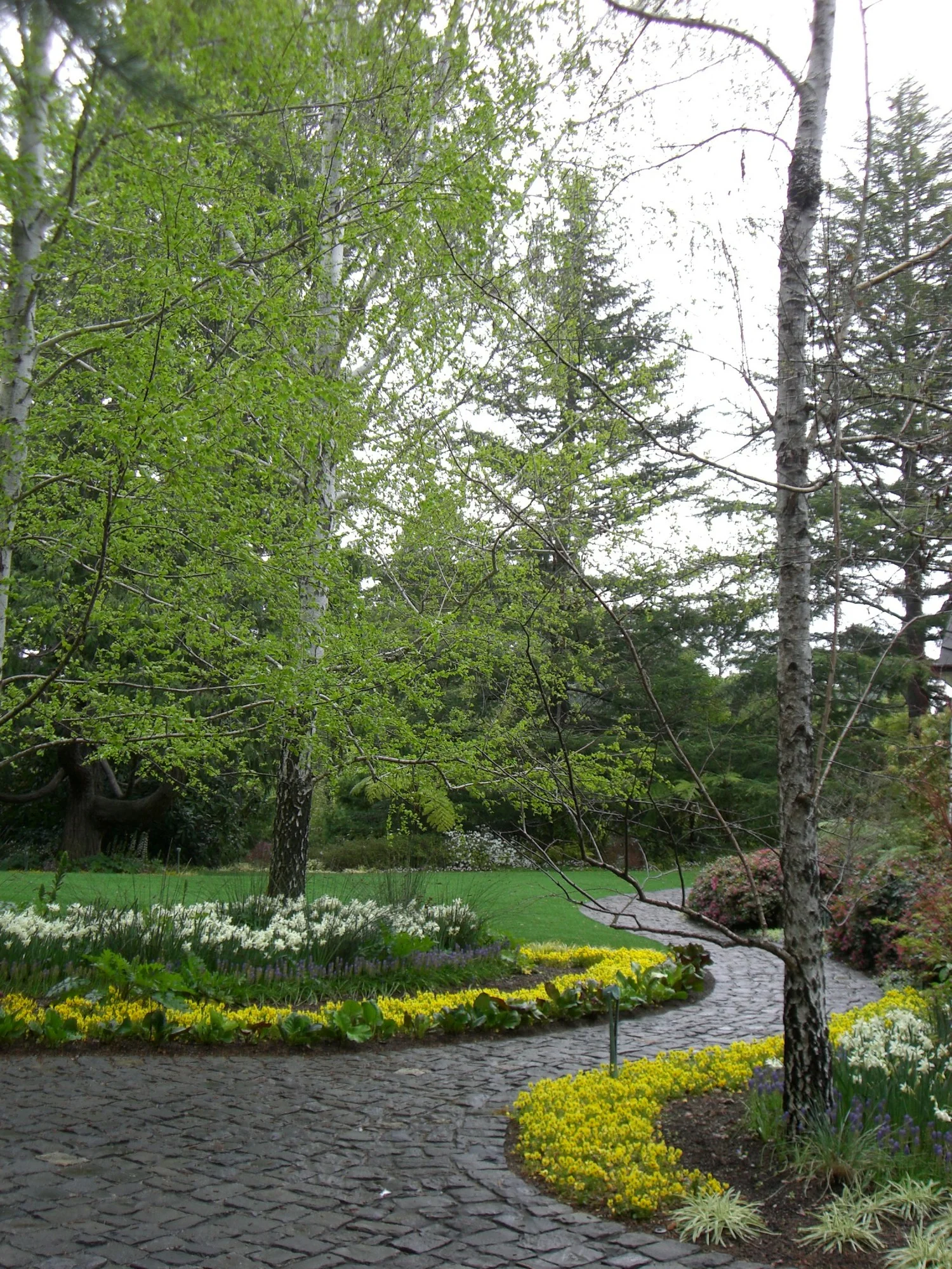 AthertonCuratorsGarden_17.jpg