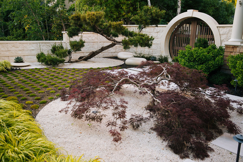 bay+area+landscape+design.jpg