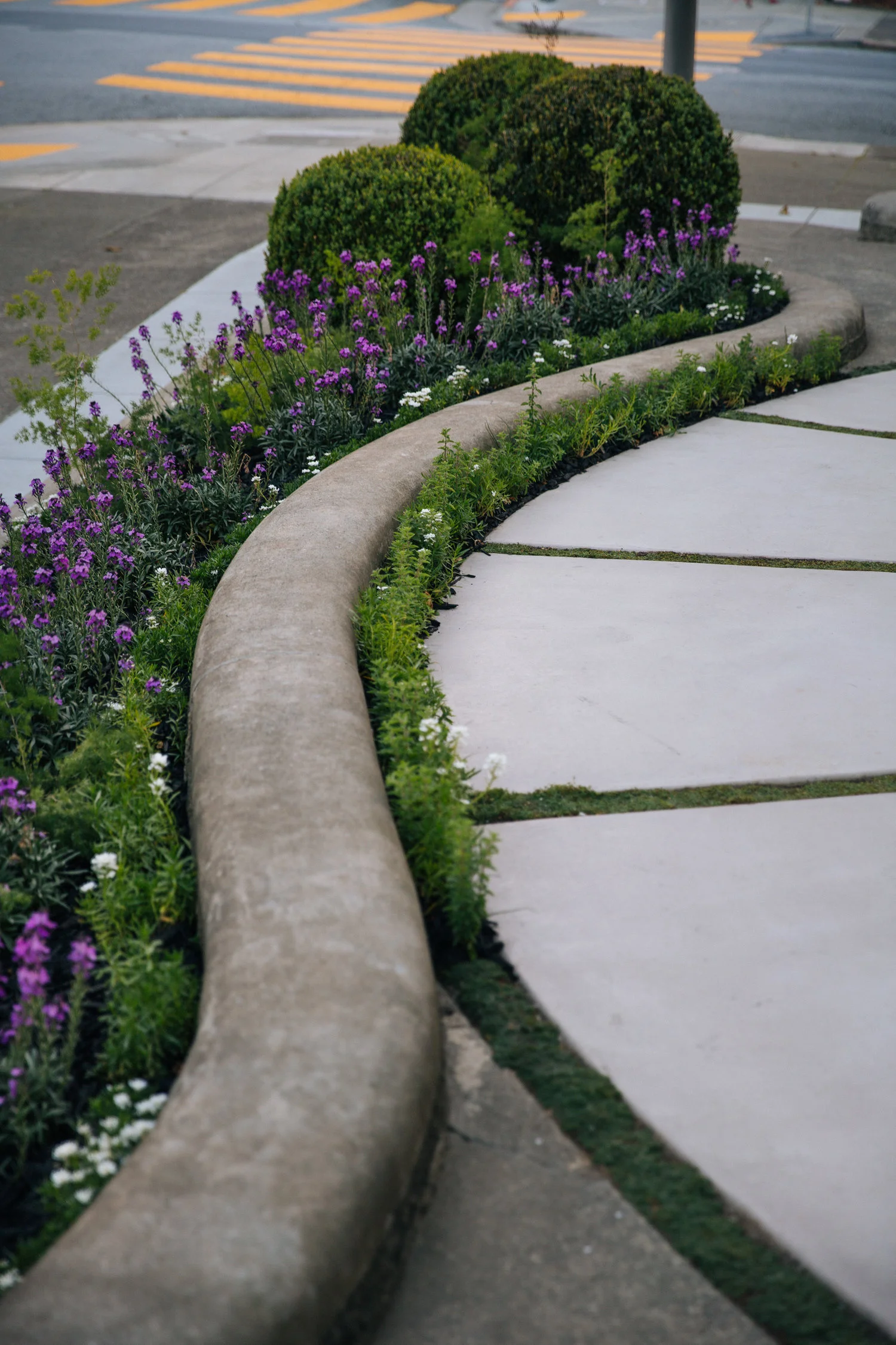 GardenDesign_PacificHeights.jpg