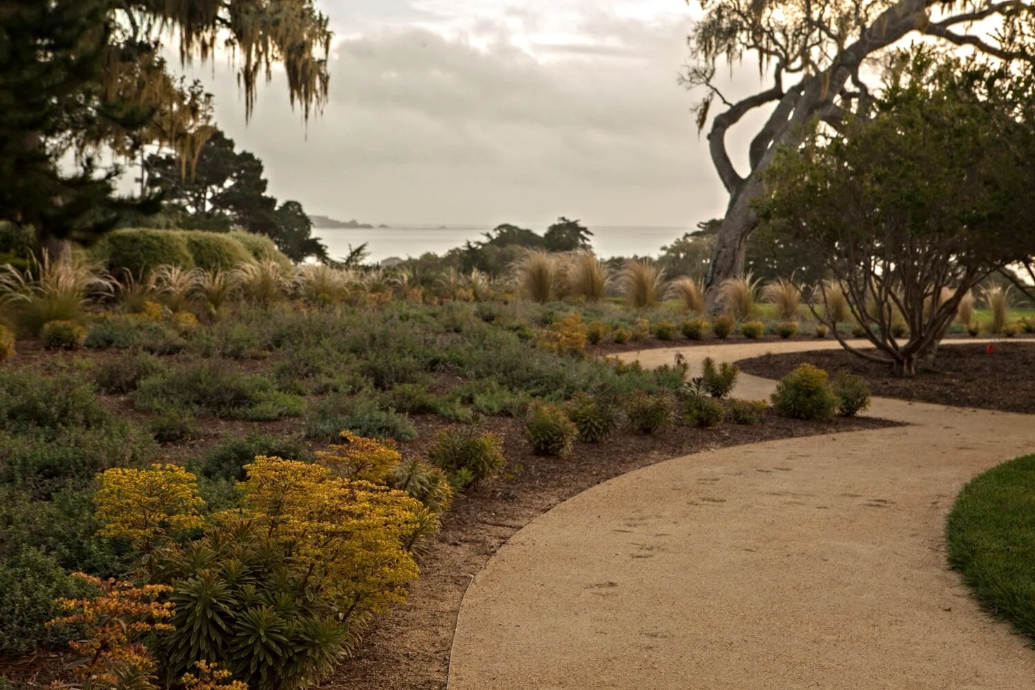 17_gardendesigner.jpg