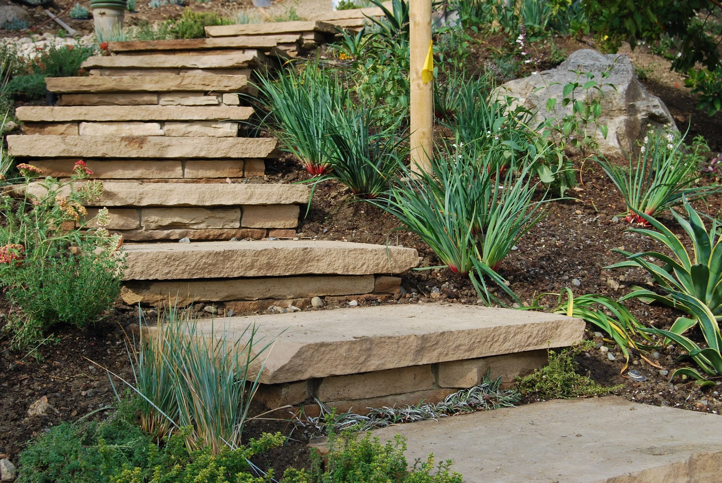 Mount Eden — Zeterre Landscape Architecture