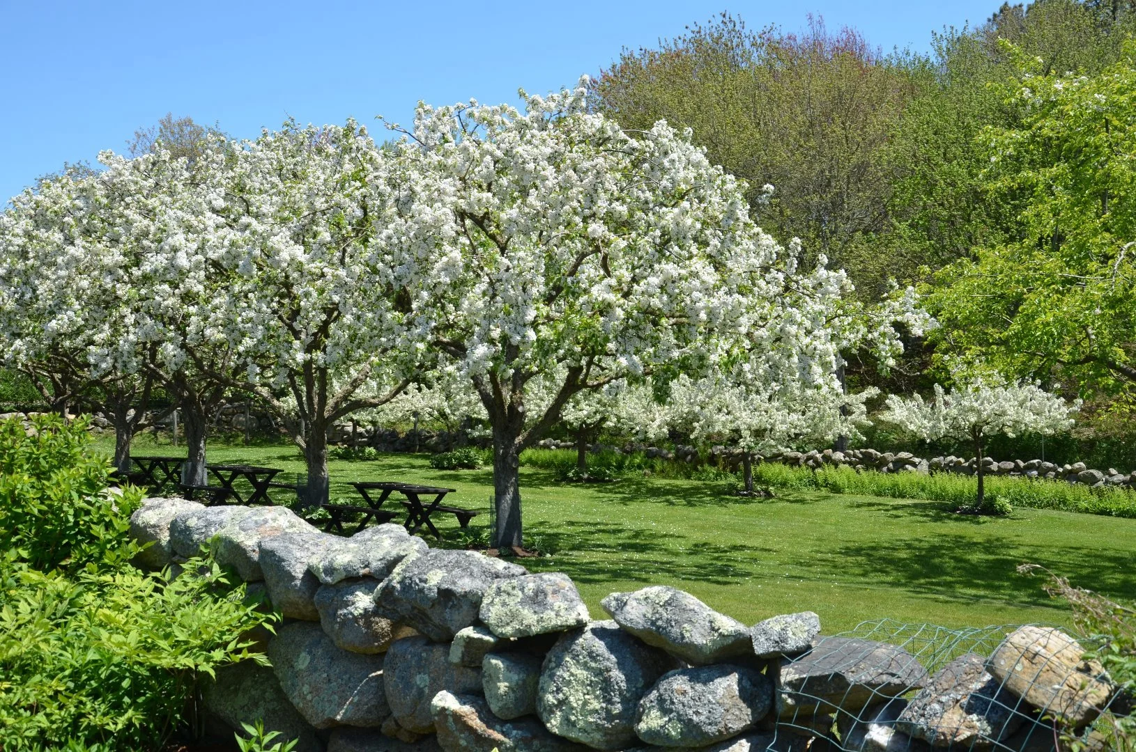 19 Martha's Vineyard.jpg