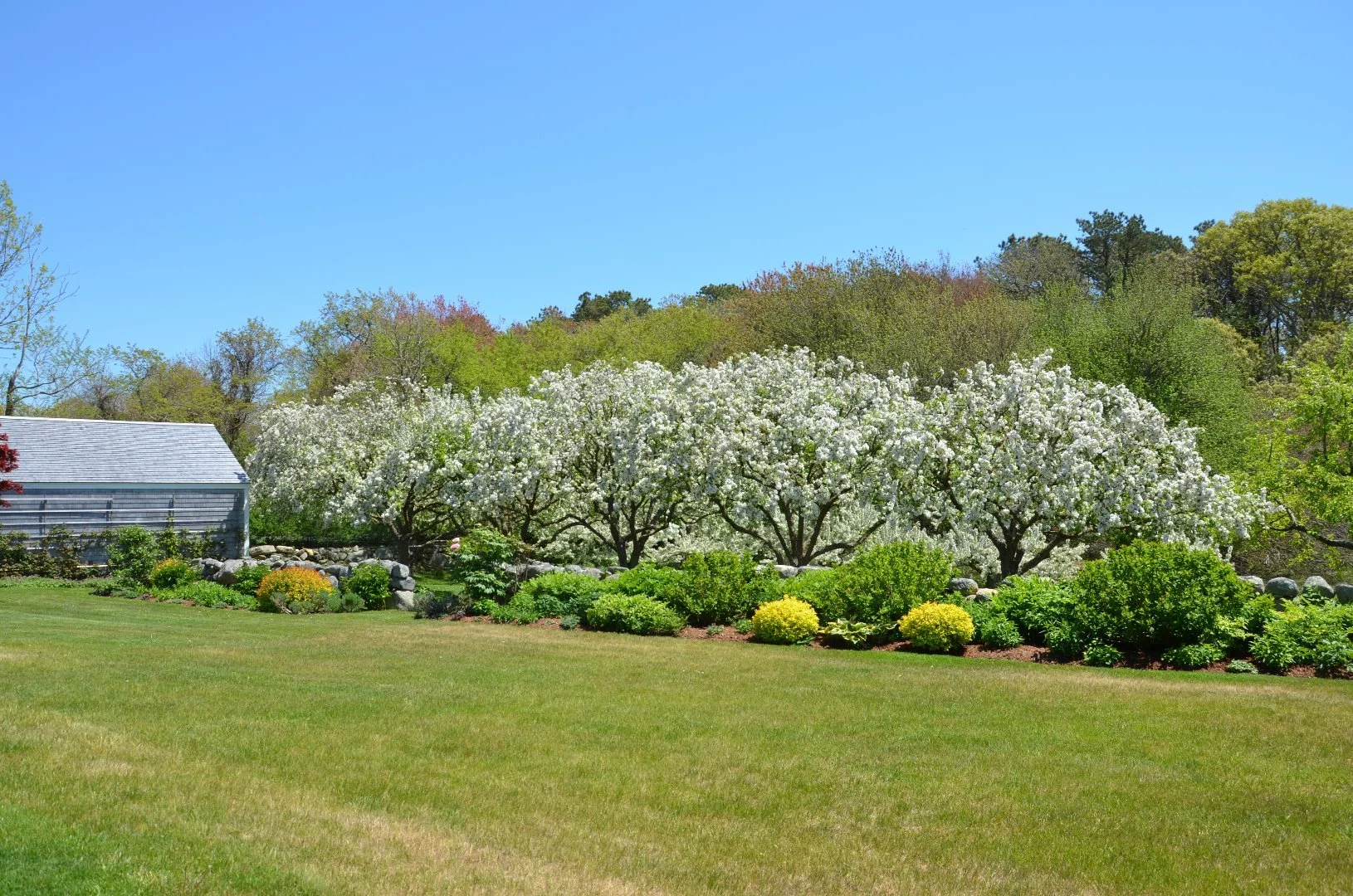 20 Martha's Vineyard.jpg