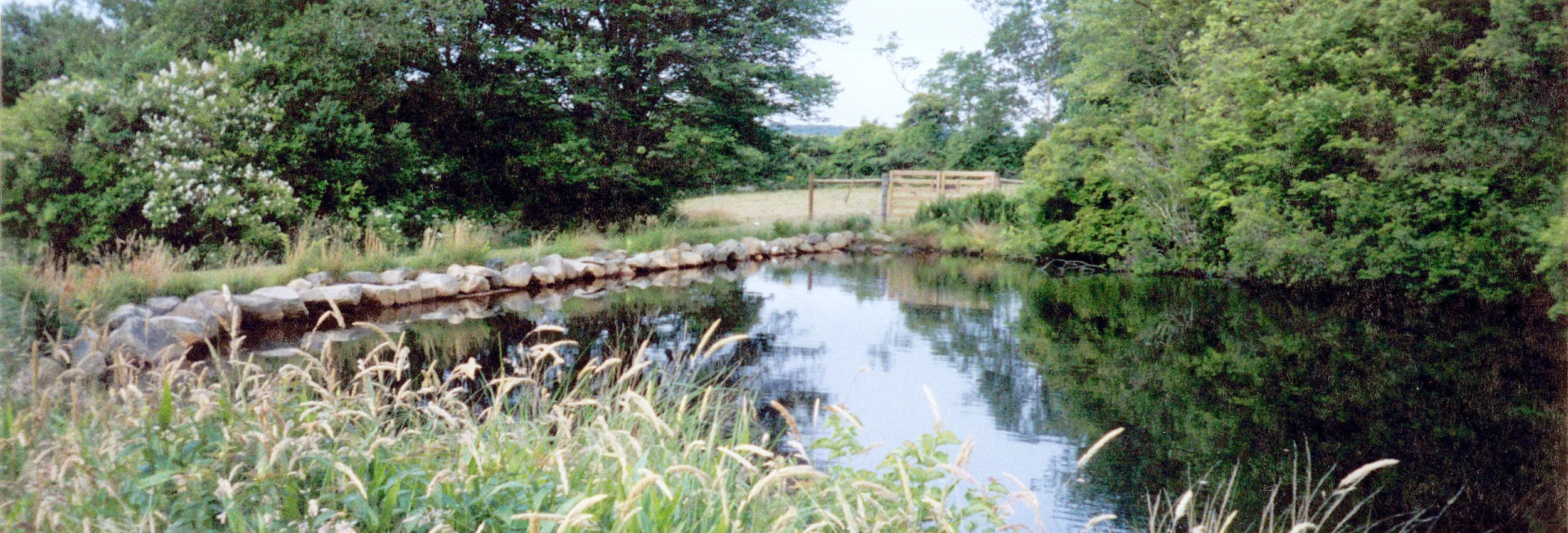 Von Mehren After 015.jpg