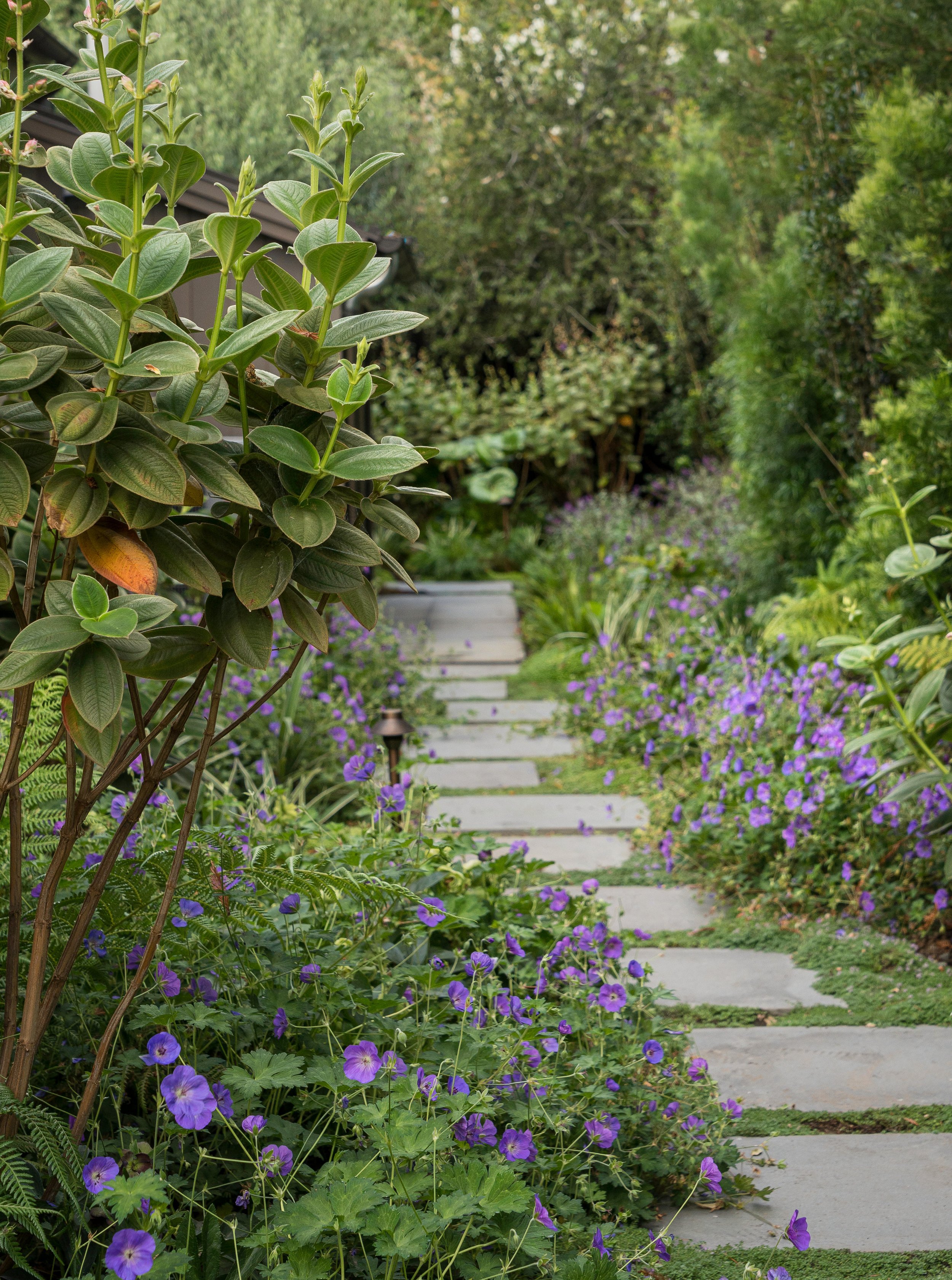 Zeterre-Mora WEB-9.jpg