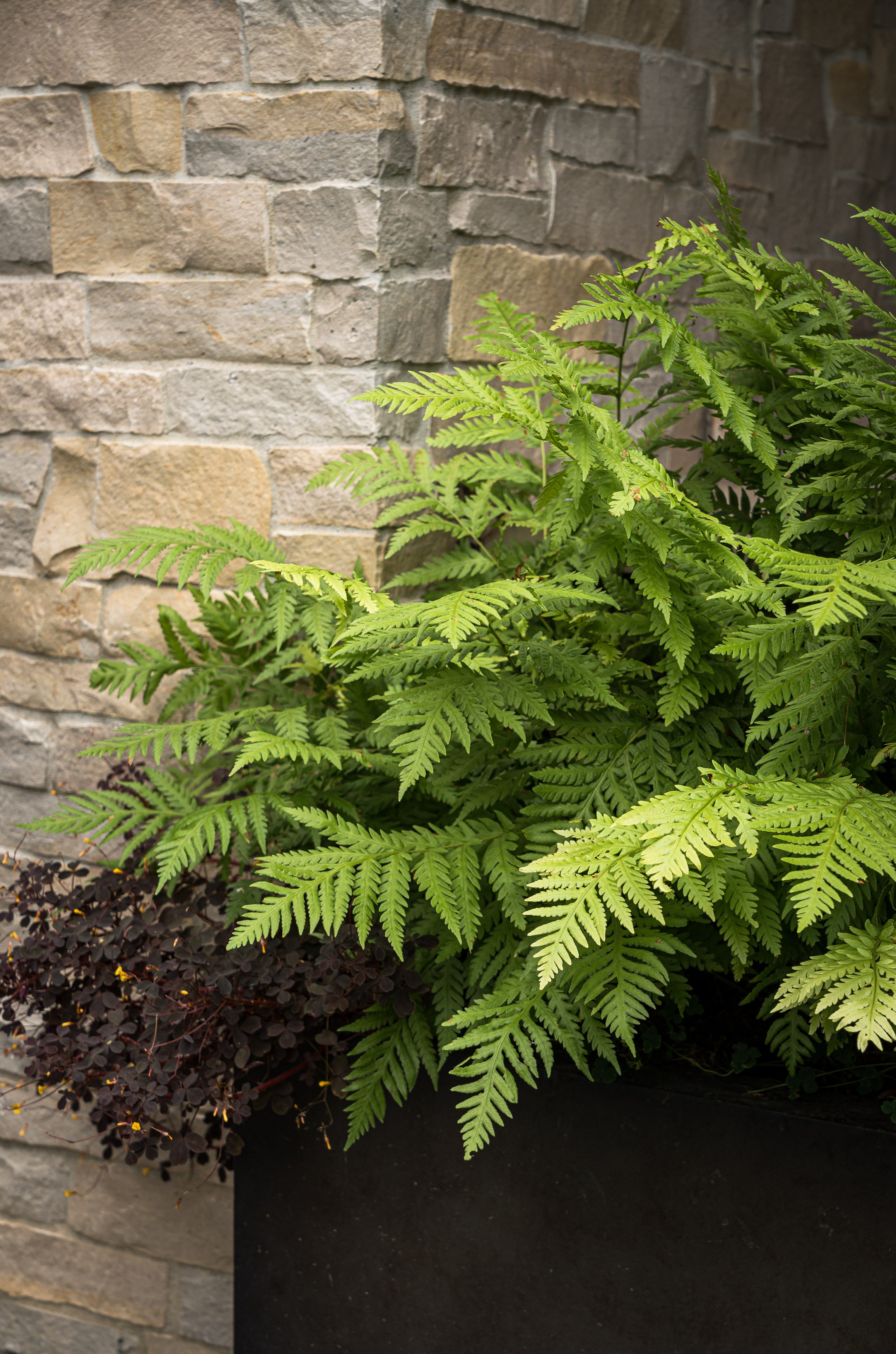 Zeterre-Mora WEB-15.jpg