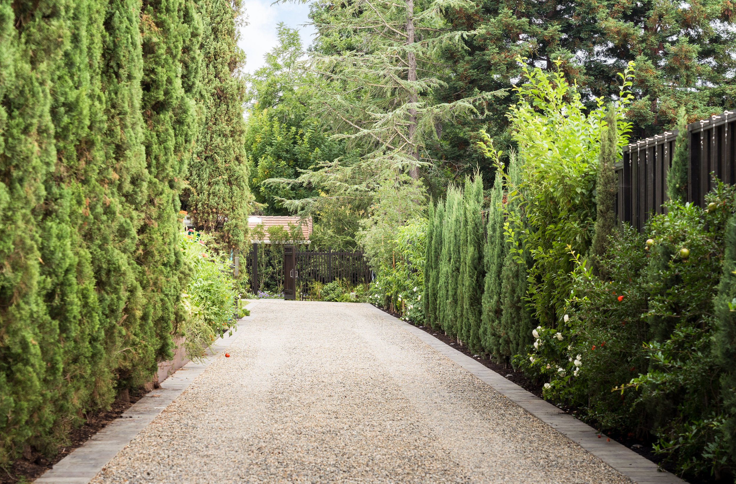 Zeterre-Mora WEB-19.jpg