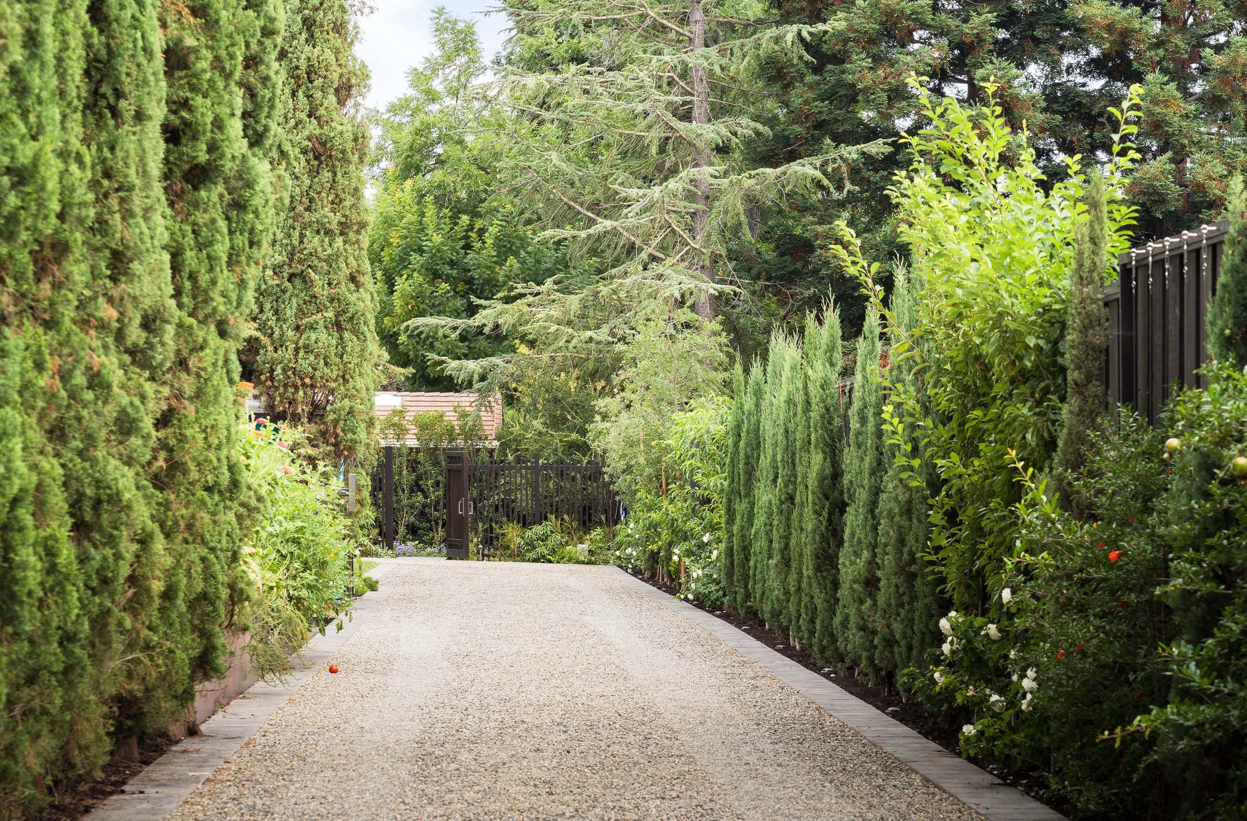 Zeterre-Mora WEB-20.jpg