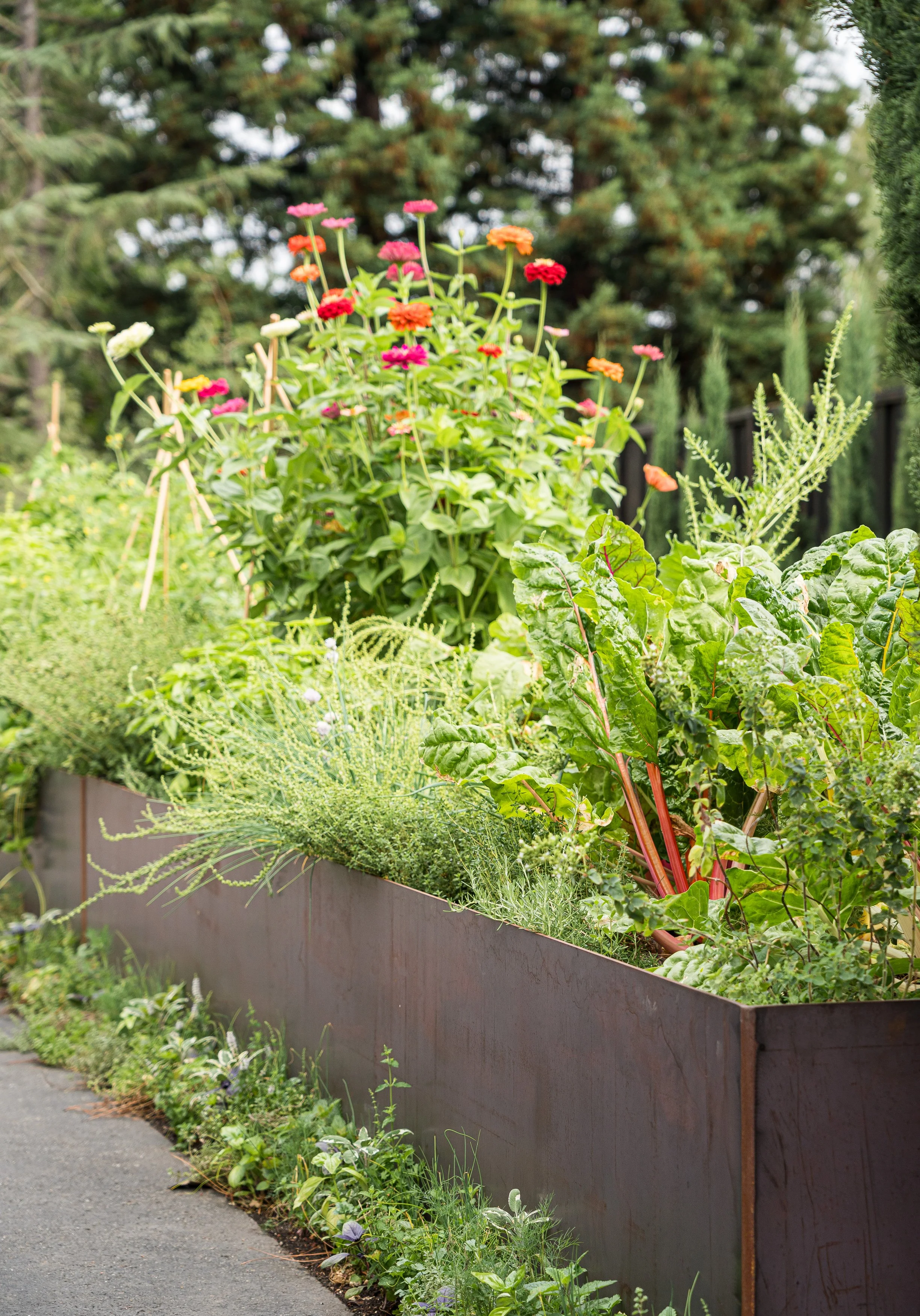 Zeterre-Mora WEB-21.jpg