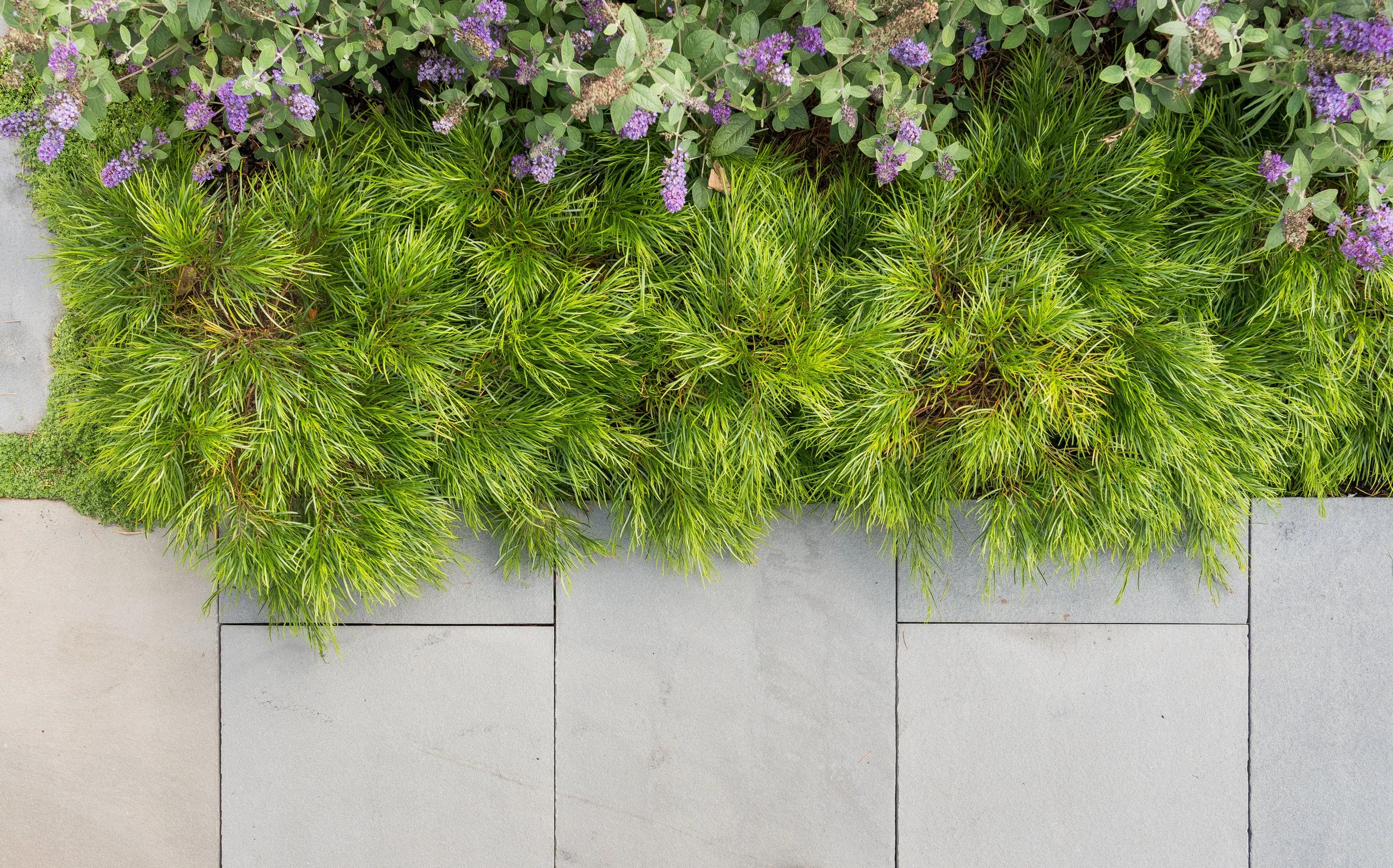 Zeterre-Mora WEB-23.jpg