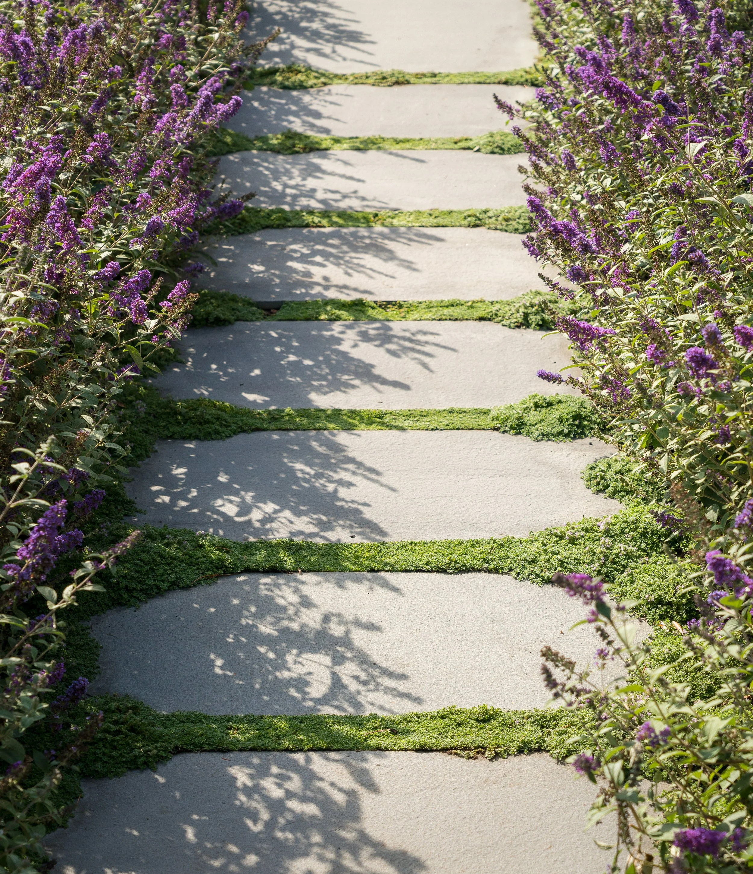 Zeterre-Mora WEB-29.jpg