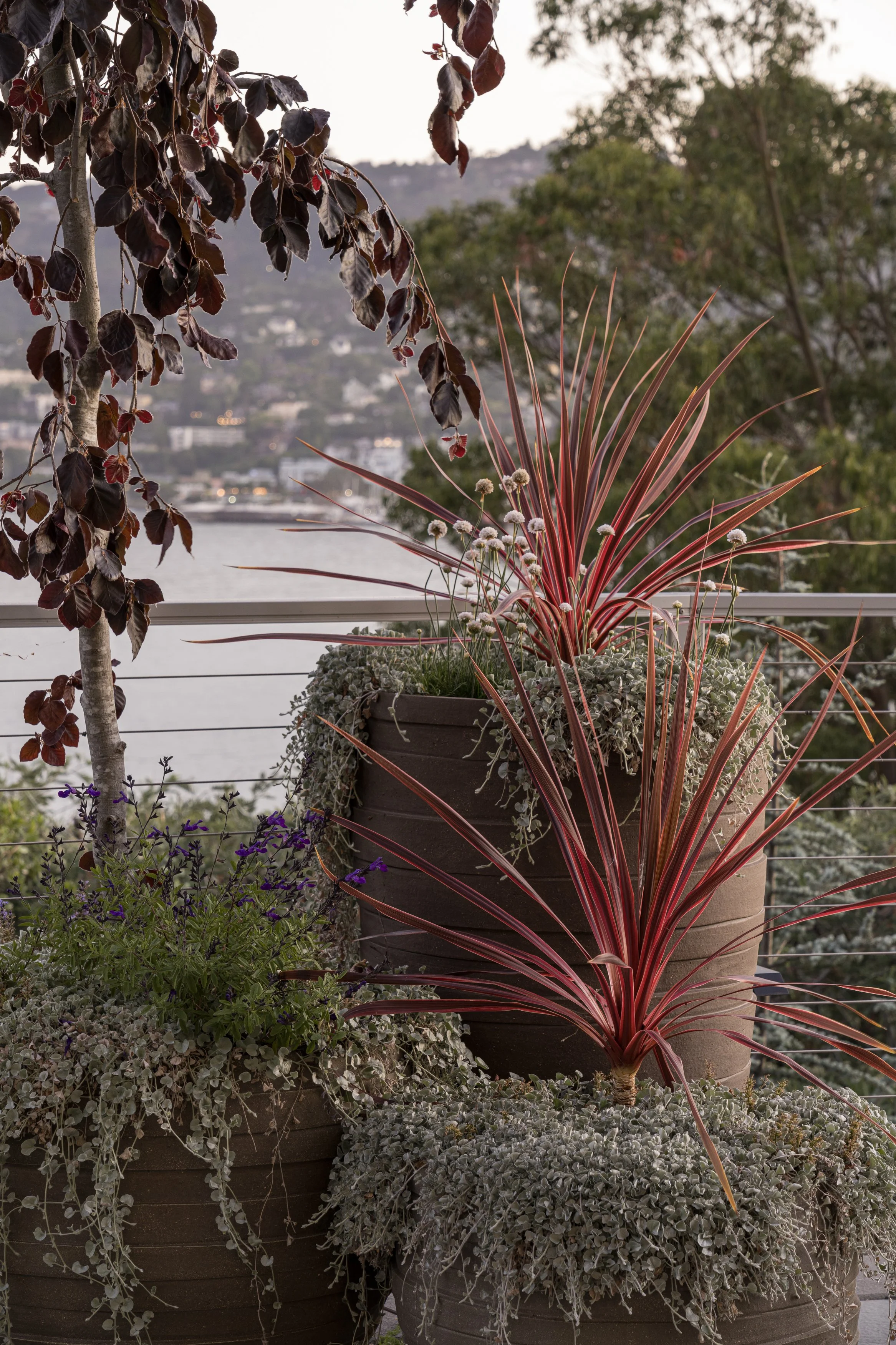 Zeterre-Belvedere WEB-23.jpg