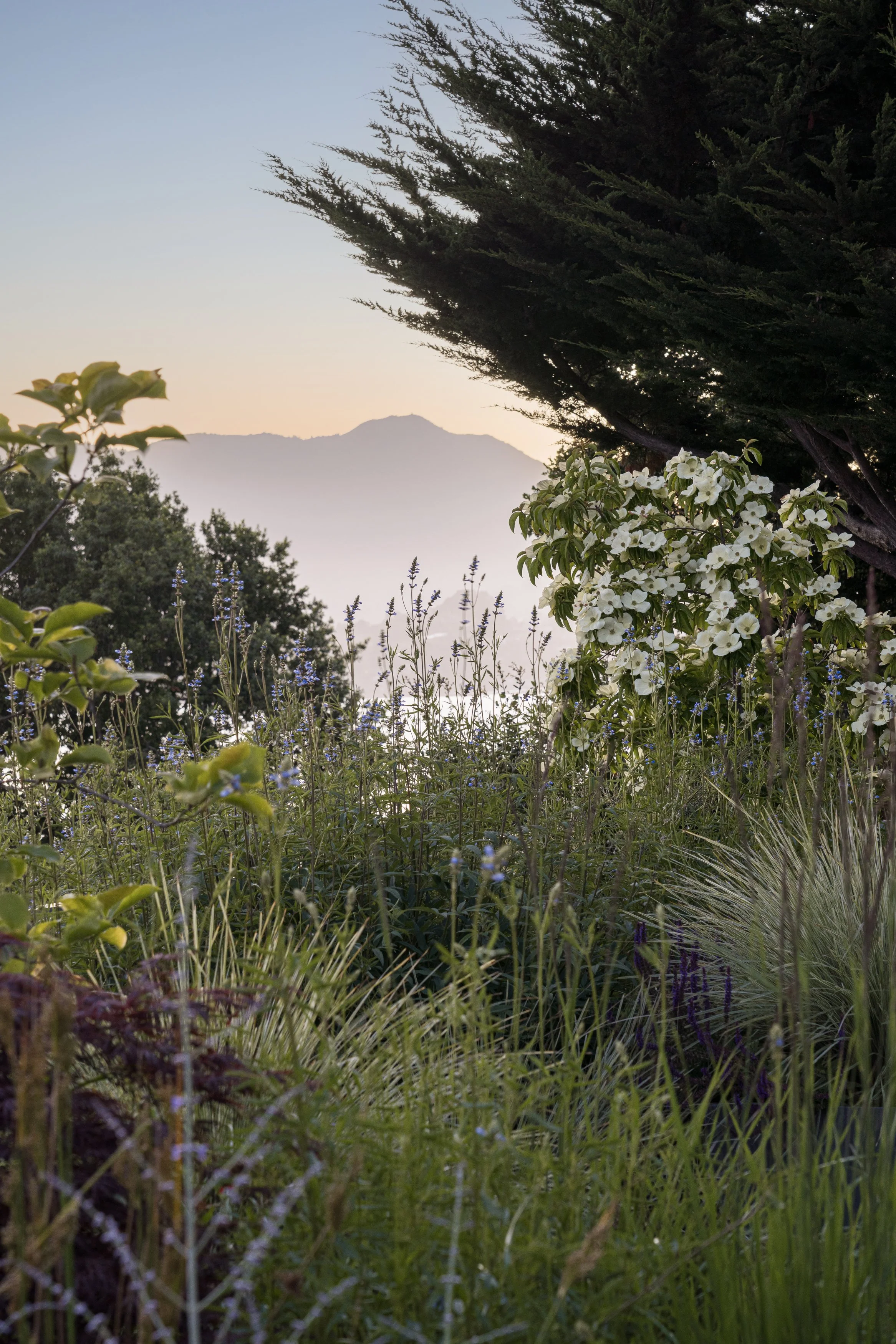 Zeterre-Belvedere WEB-24.jpg