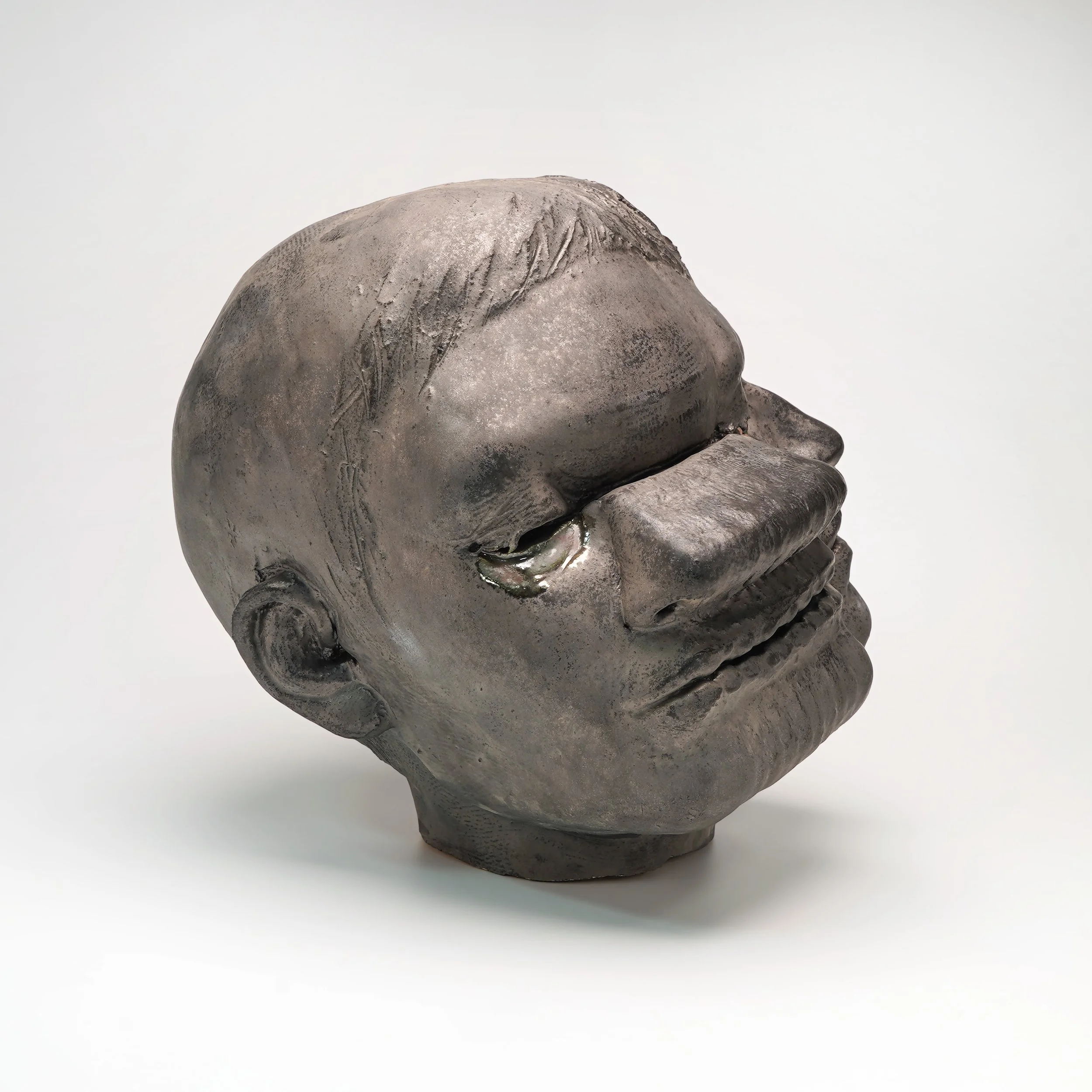 Visual Kinesiology: Face in Motion