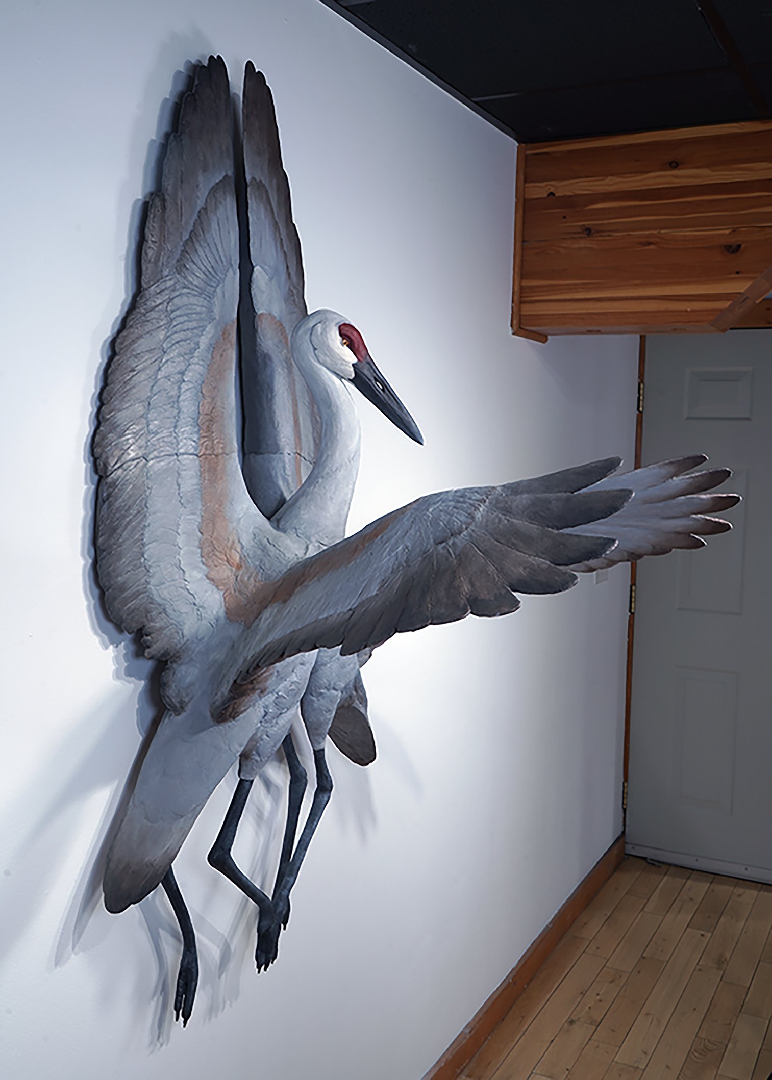 SERAPHIM: Sandhill Cranes