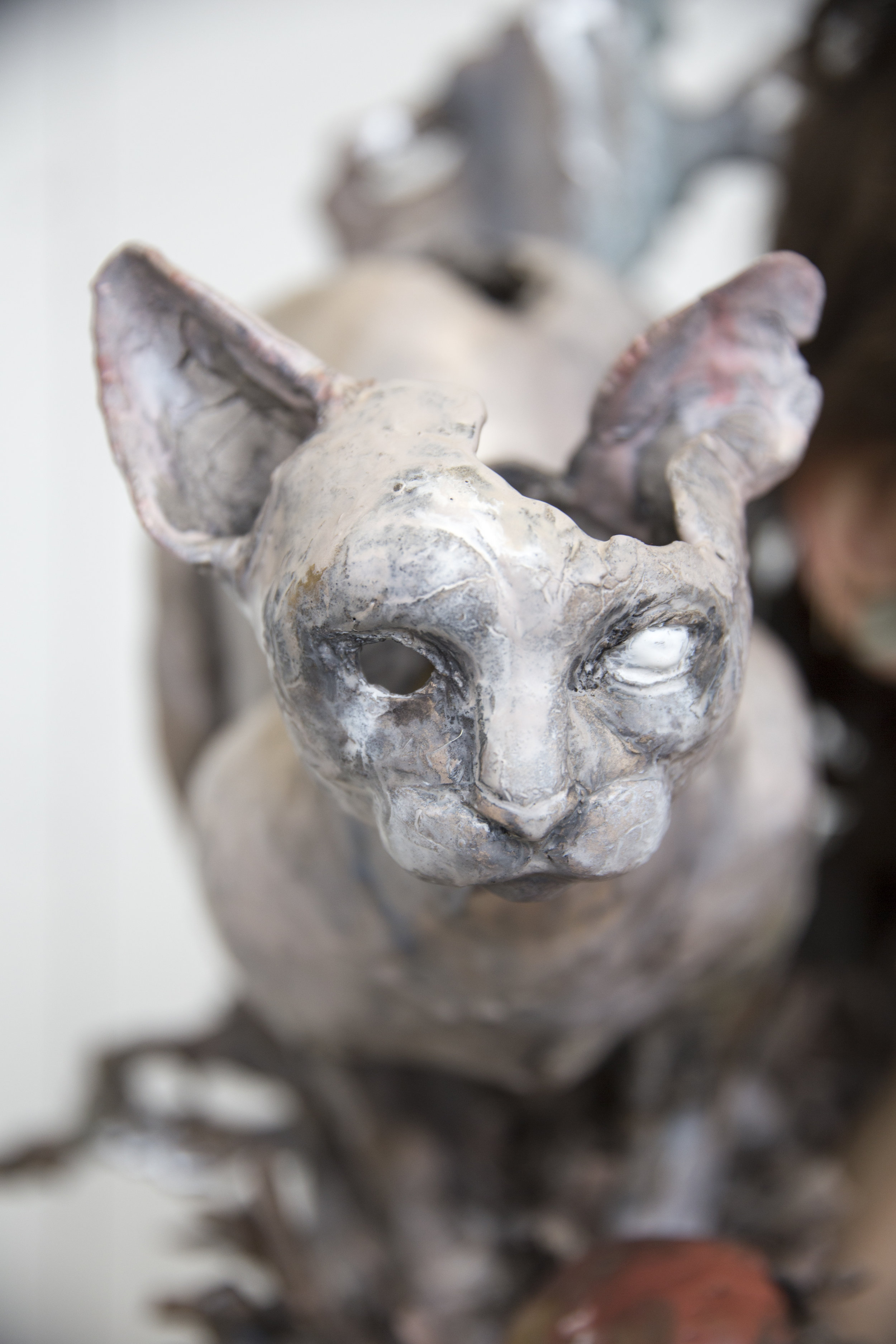 kelle feb 2017_43.JPG