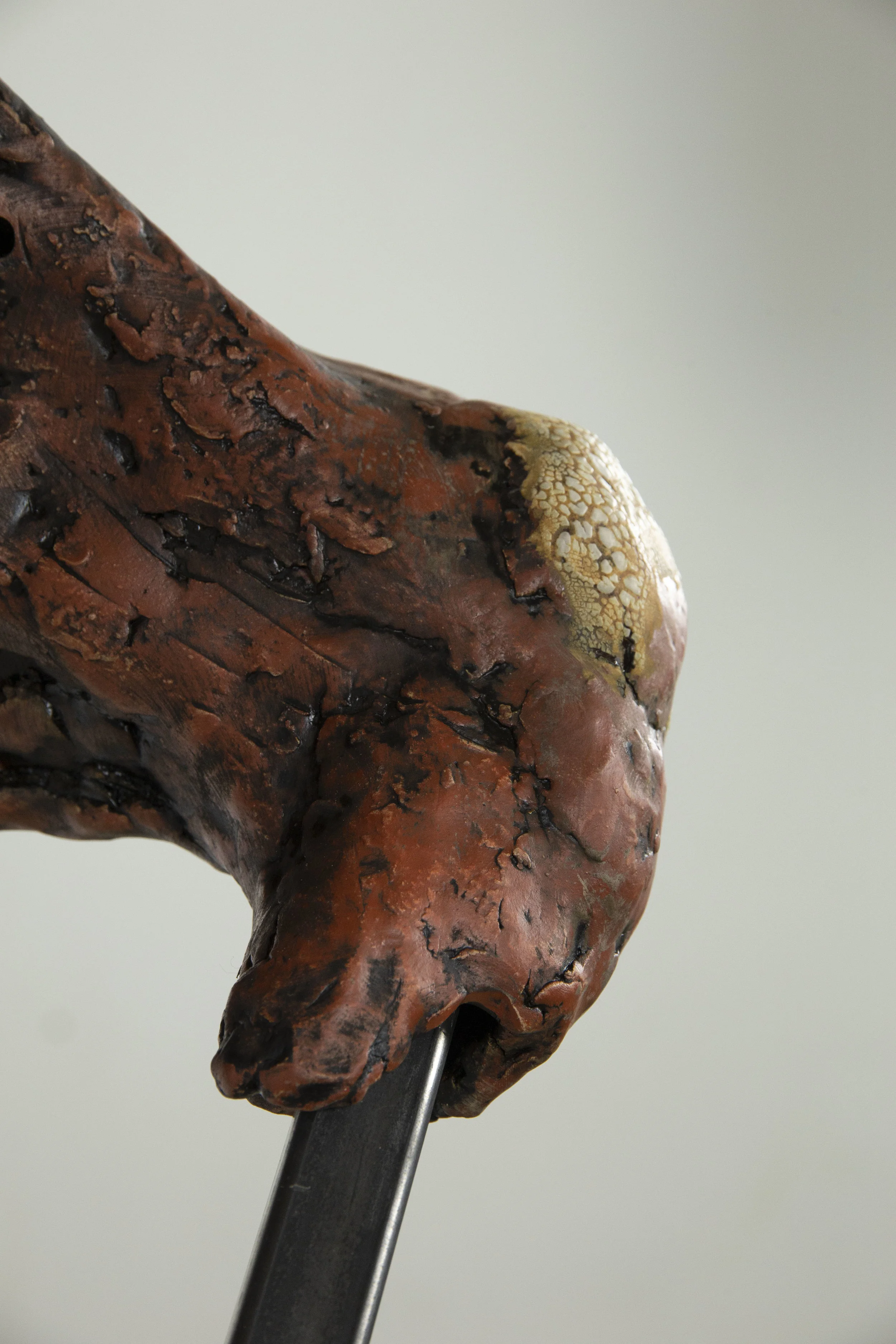 Equestrian Fallacies (Knee Detail)