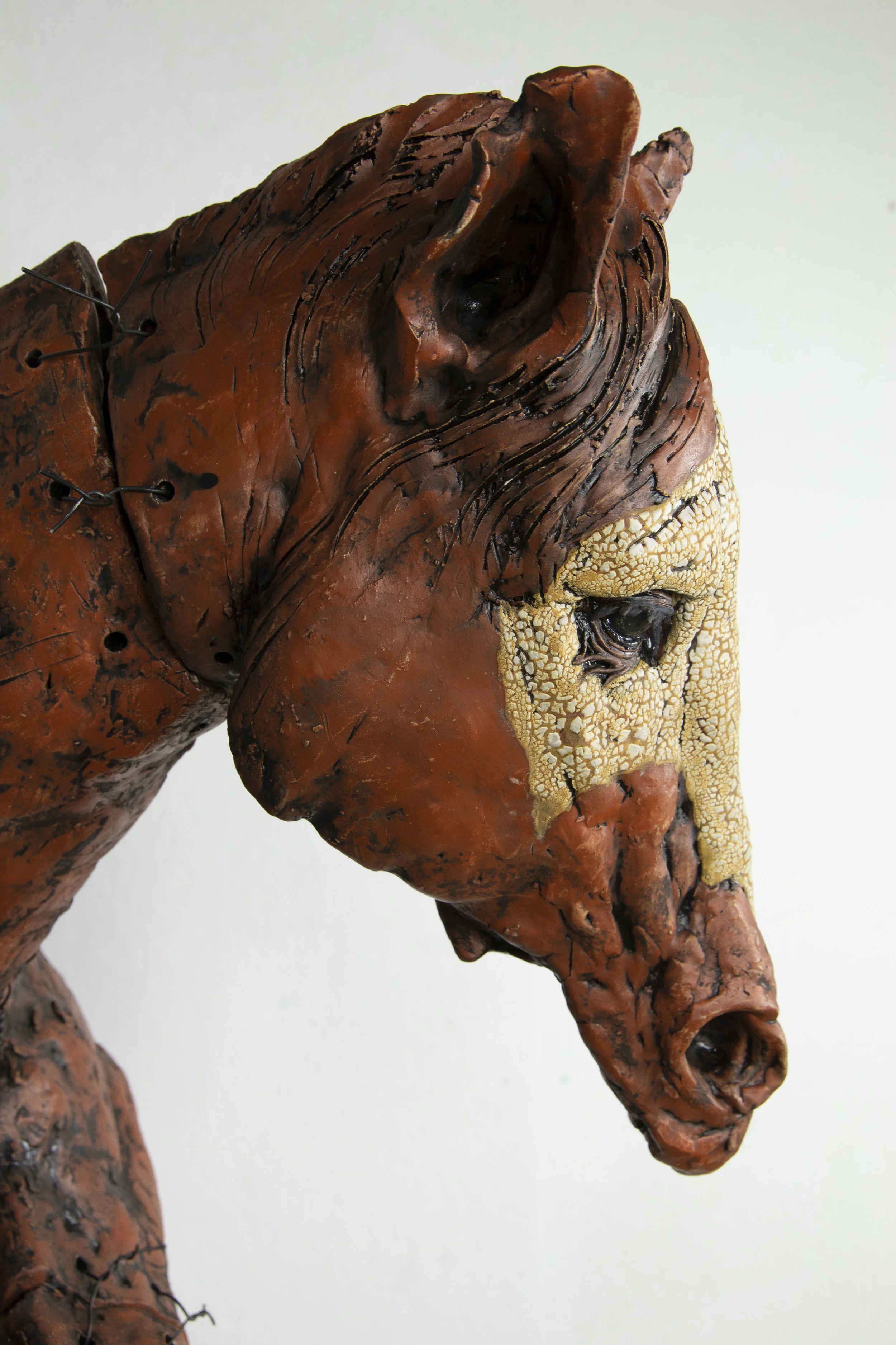 Equestrian Fallacies (Detail)