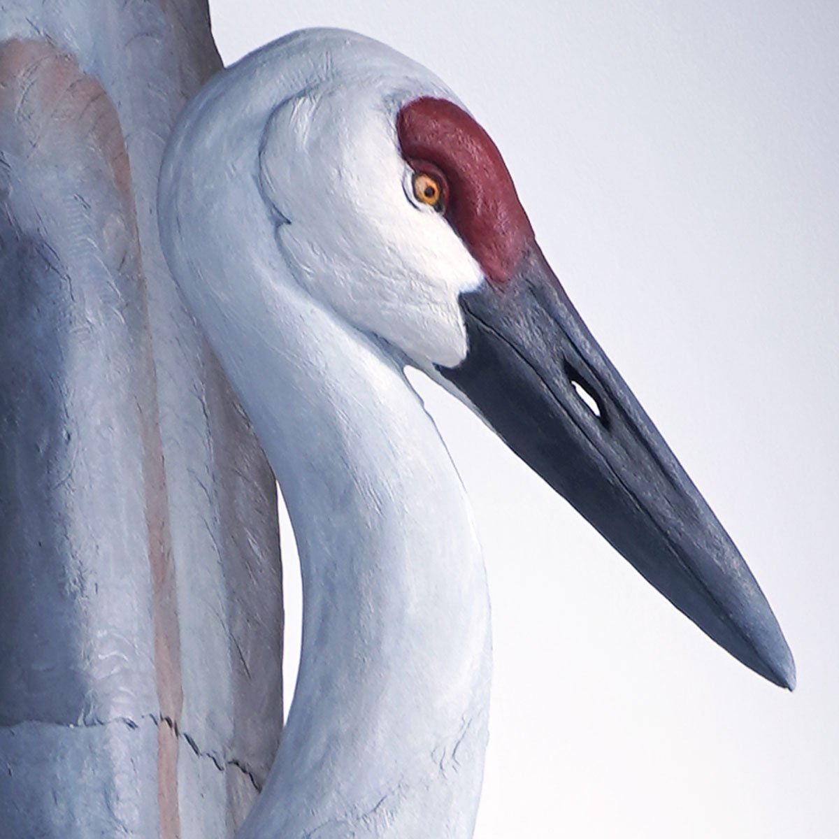 SERAPHIM: Sandhill Cranes