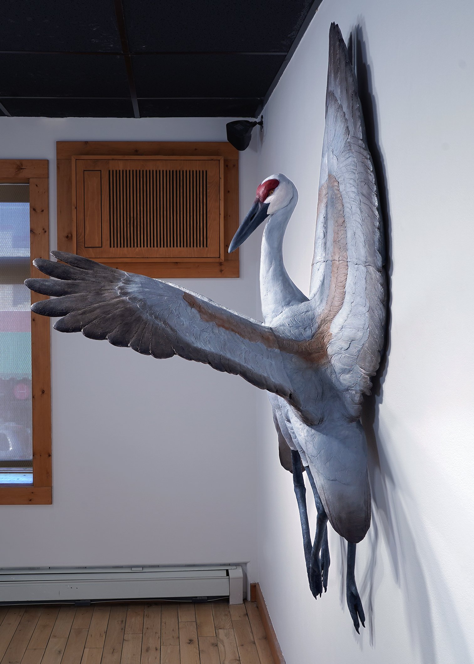 SERAPHIM: Sandhill Cranes