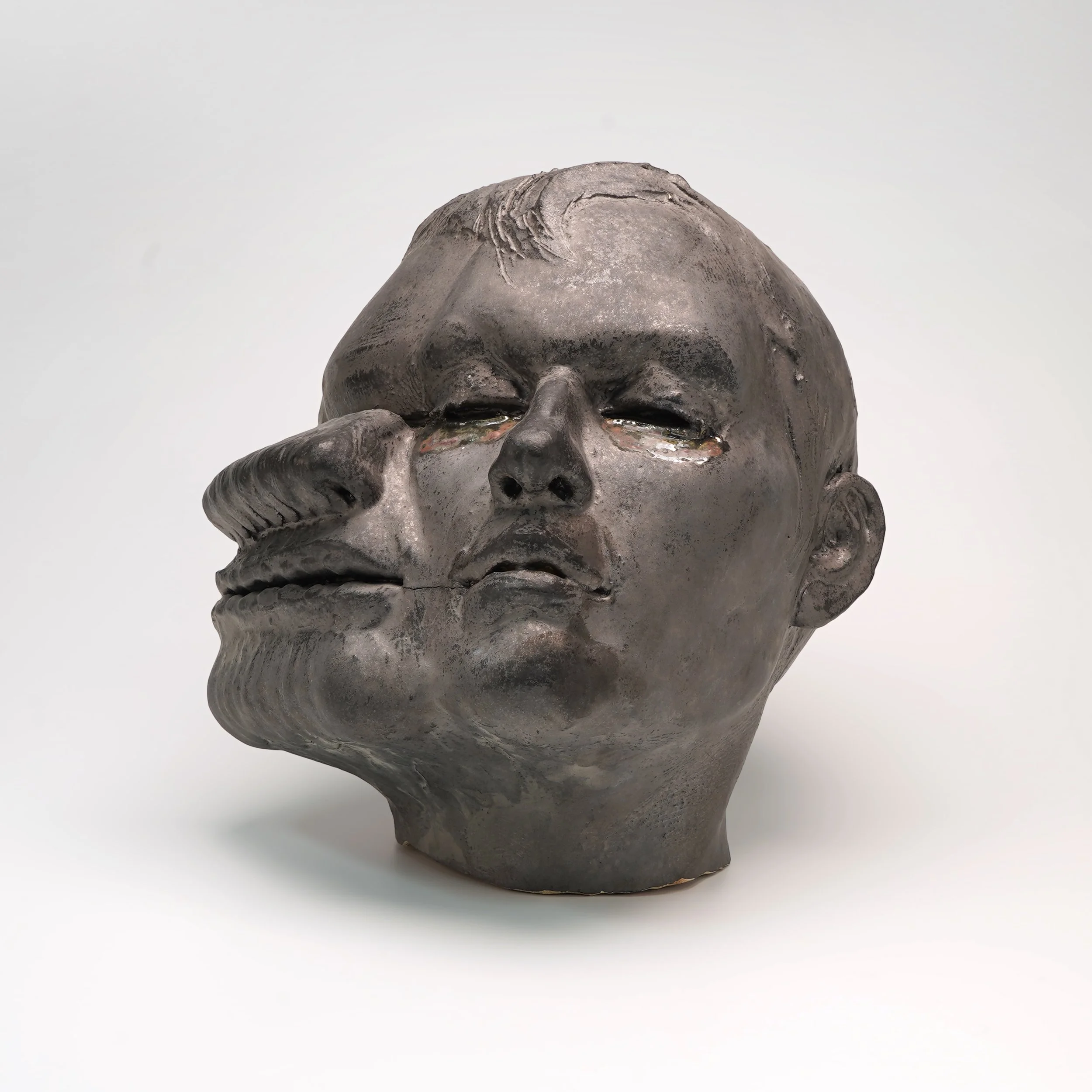 Visual Kinesiology: Face in Motion