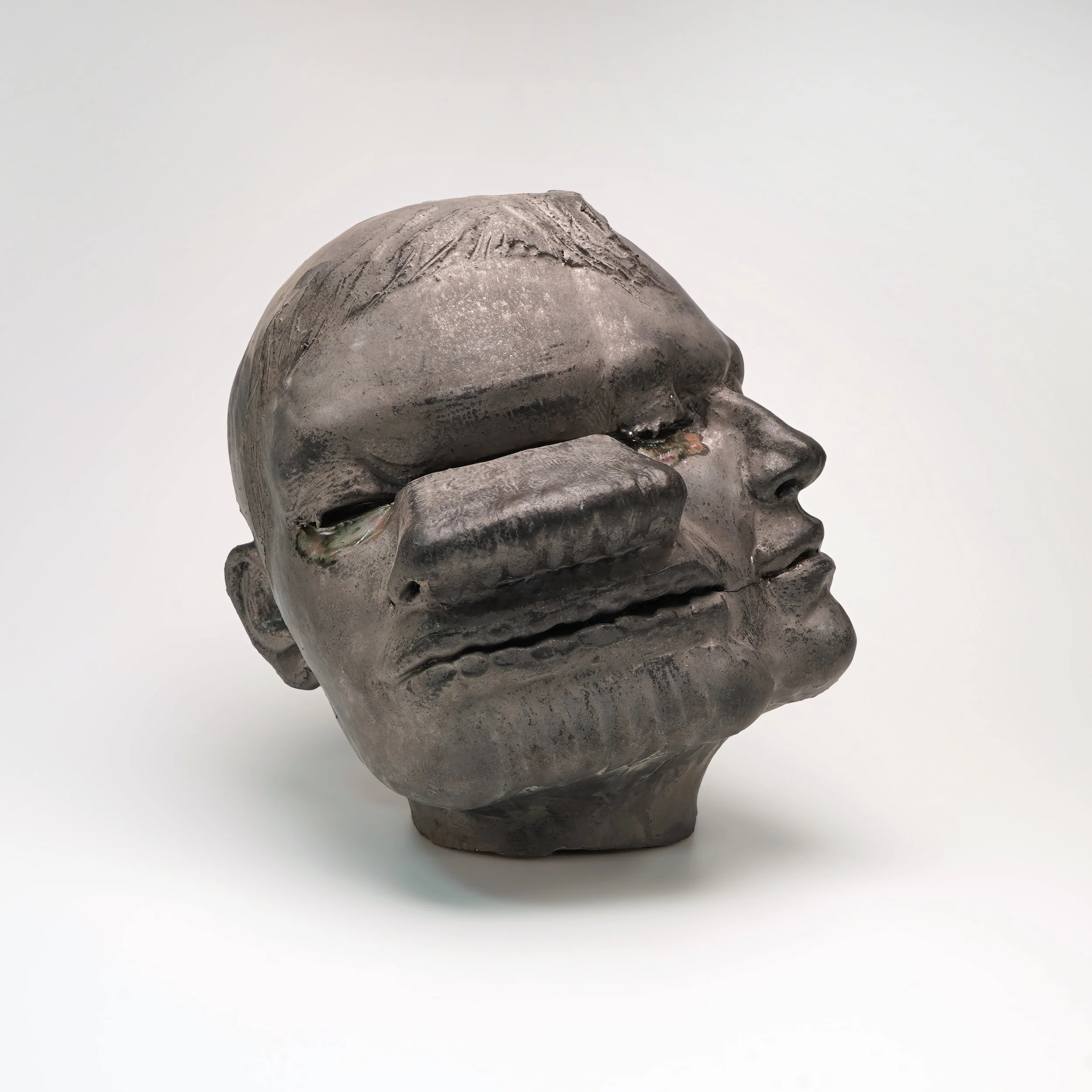 Visual Kinesiology: Face in Motion